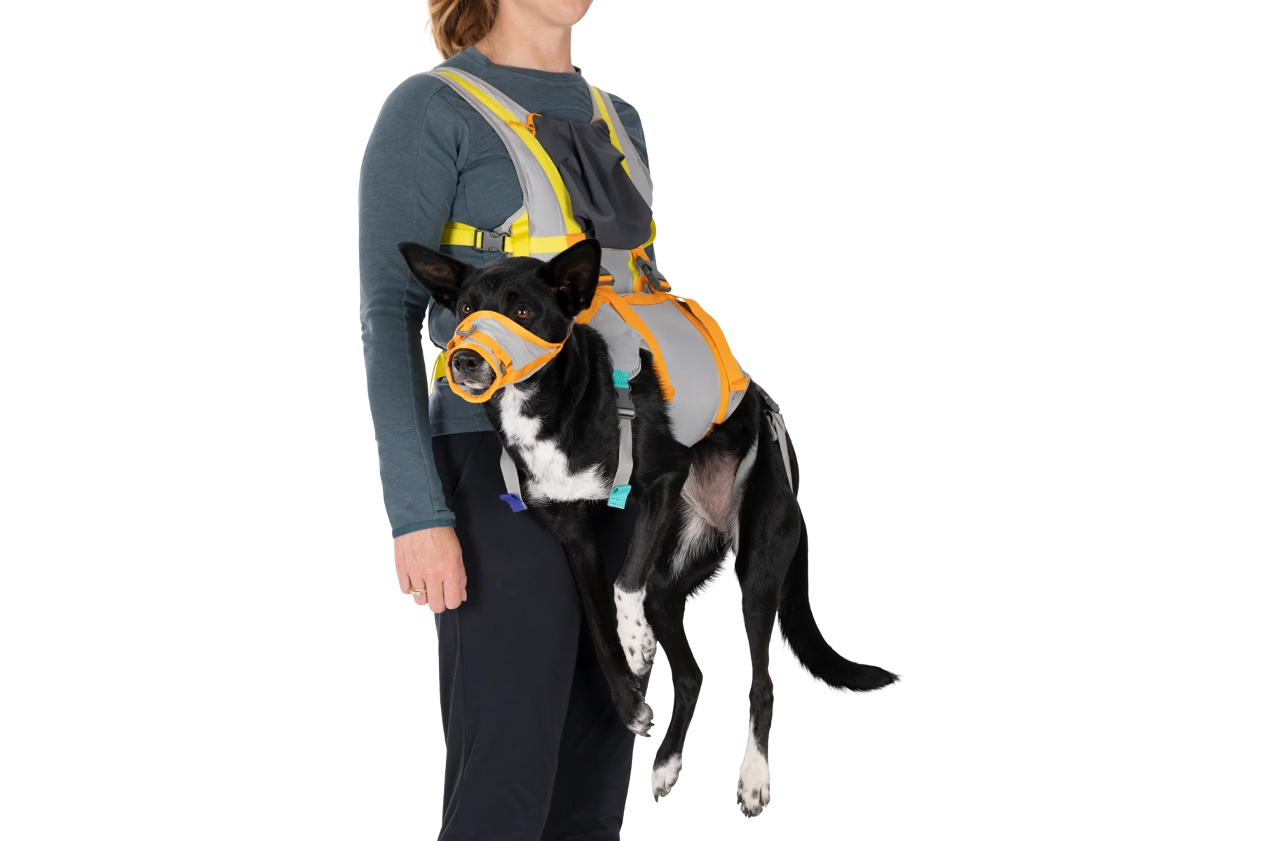 BackTrak™ Dog Evacuation Kit - Image 4