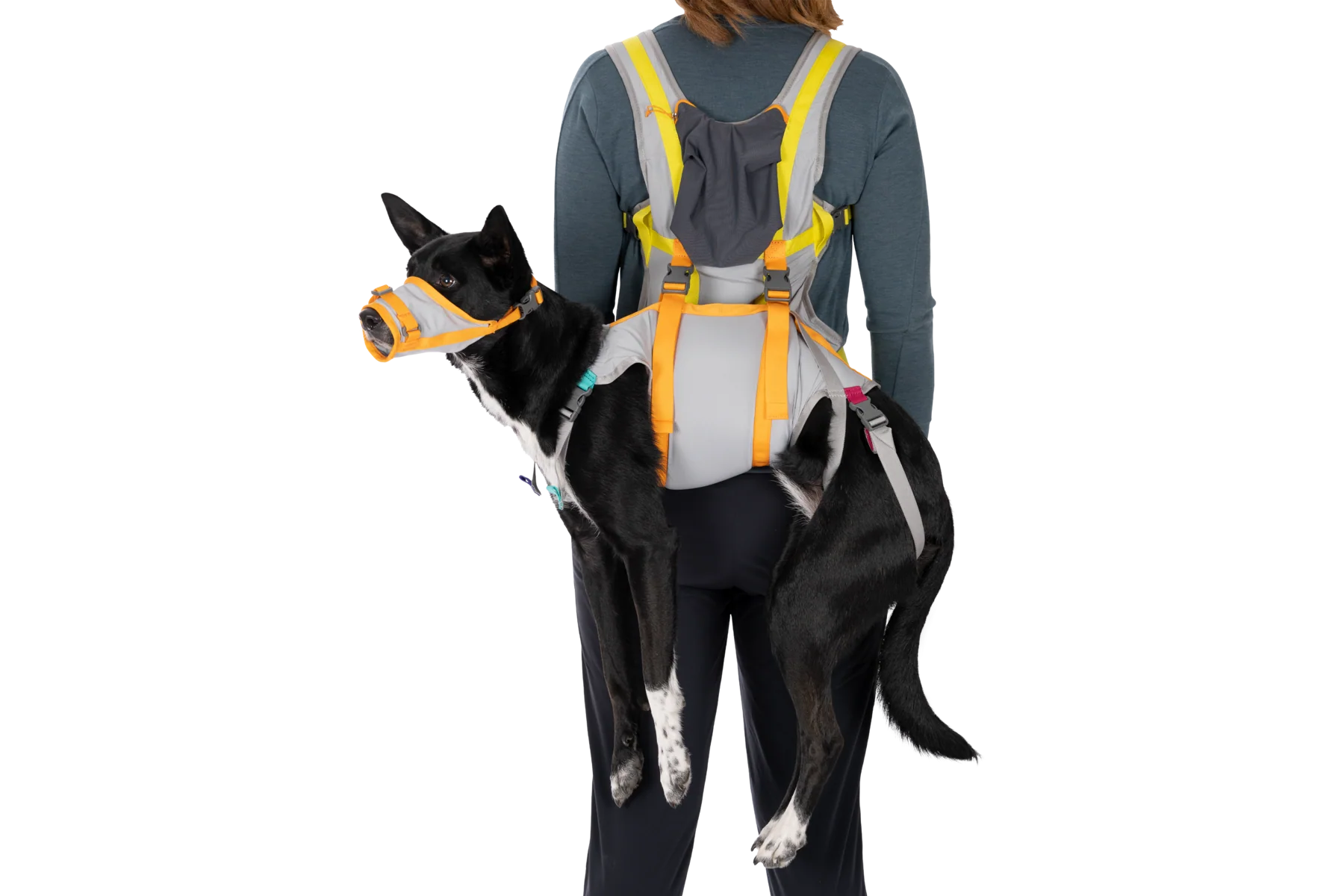 BackTrak™ Dog Evacuation Kit - Image 5