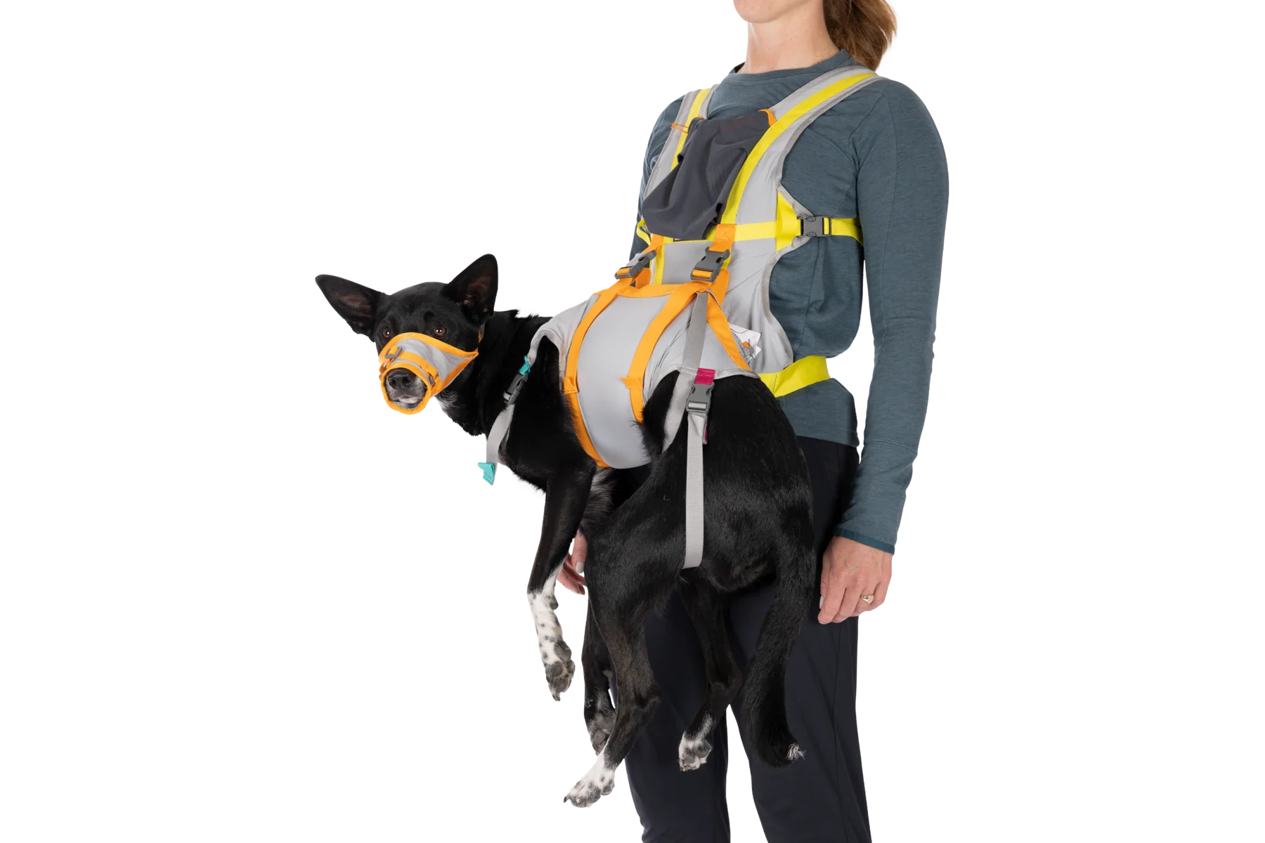 BackTrak™ Dog Evacuation Kit - Image 7