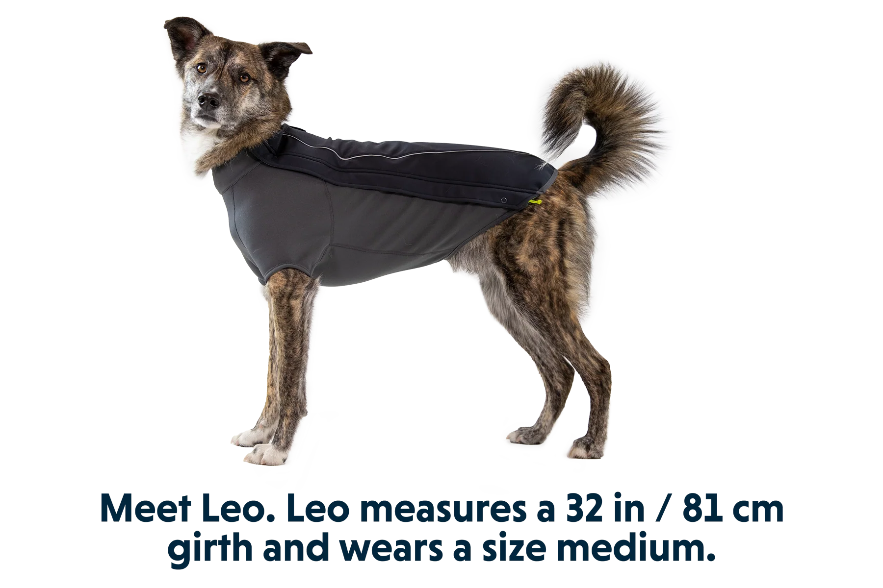 Cloud Chaser™ Dog Jacket - Image 15