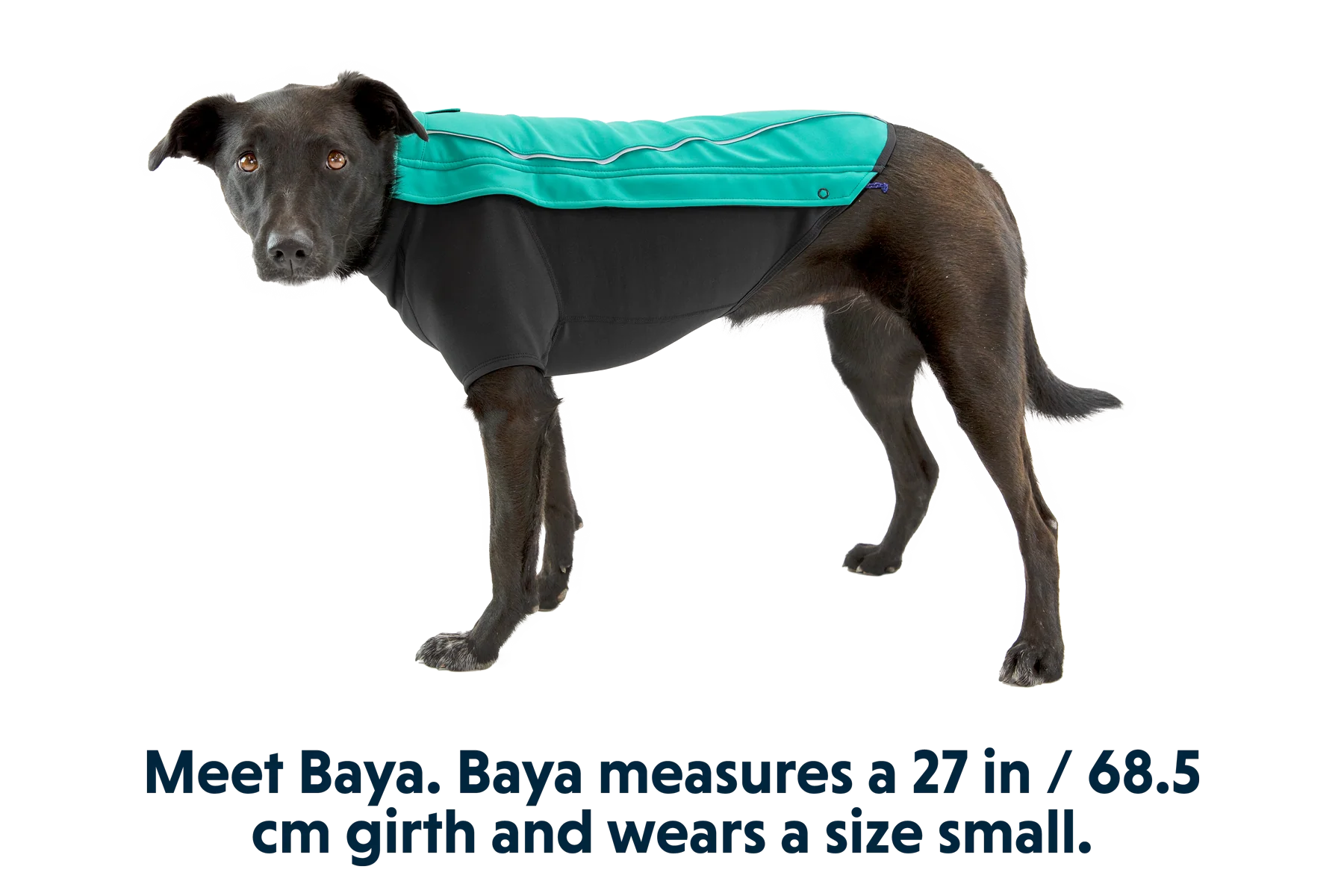 Cloud Chaser™ Dog Jacket - Image 7