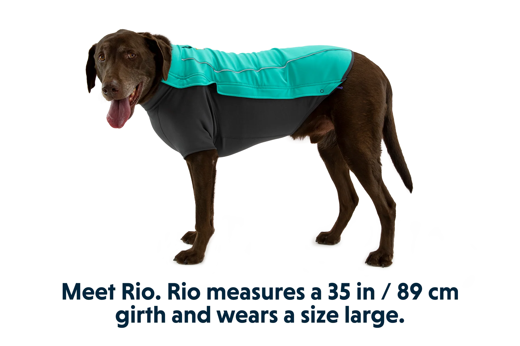 Cloud Chaser™ Dog Jacket - Image 8