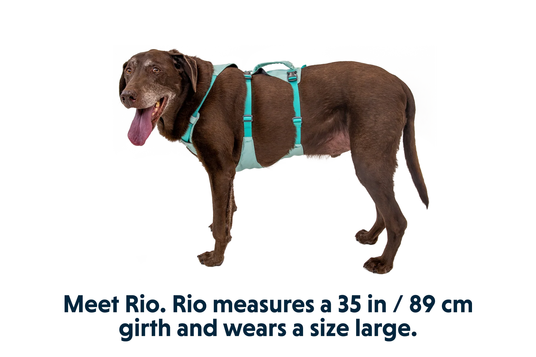 Flagline™ Dog Harness with Handle - Image 26