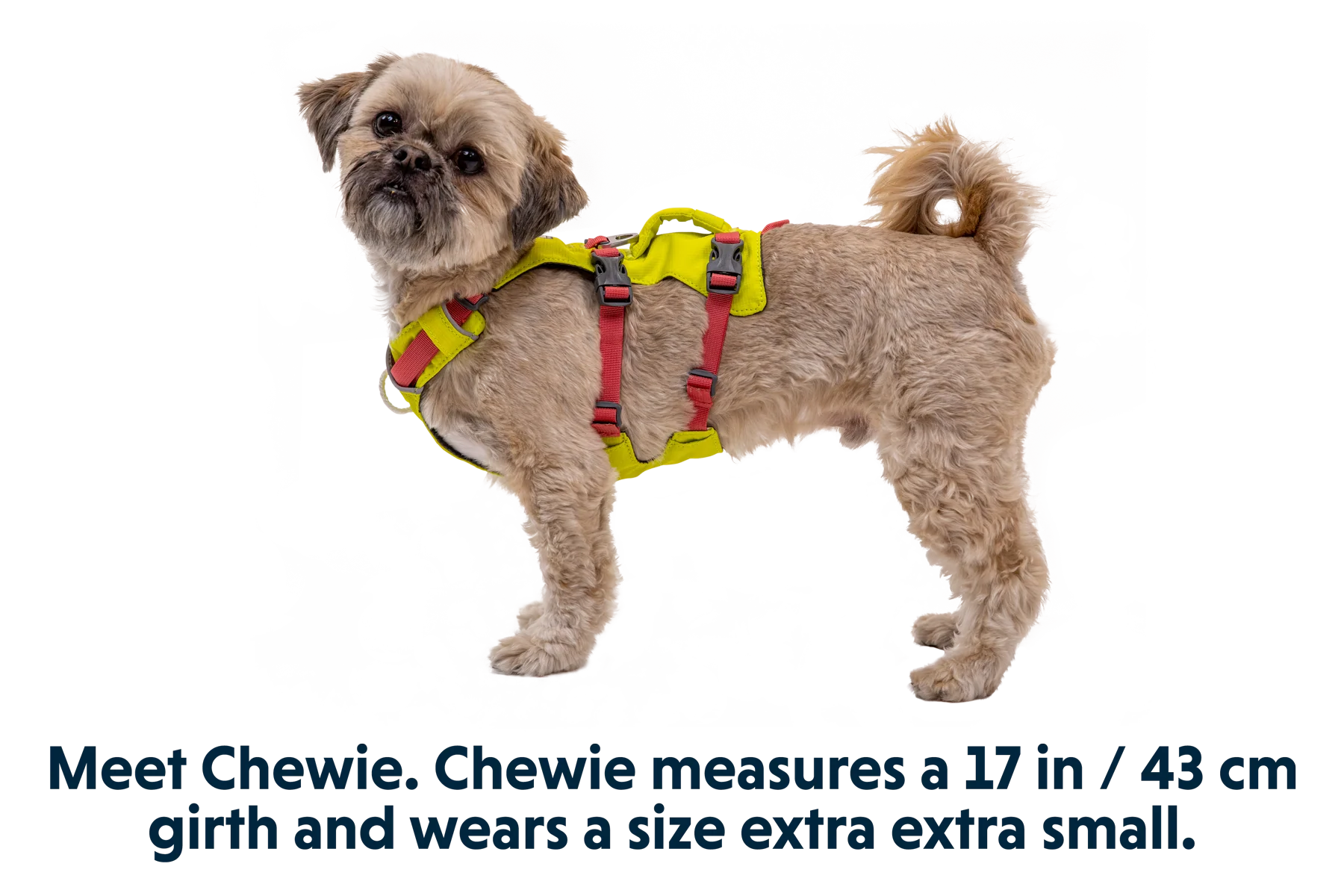 Flagline™ Dog Harness with Handle - Image 4