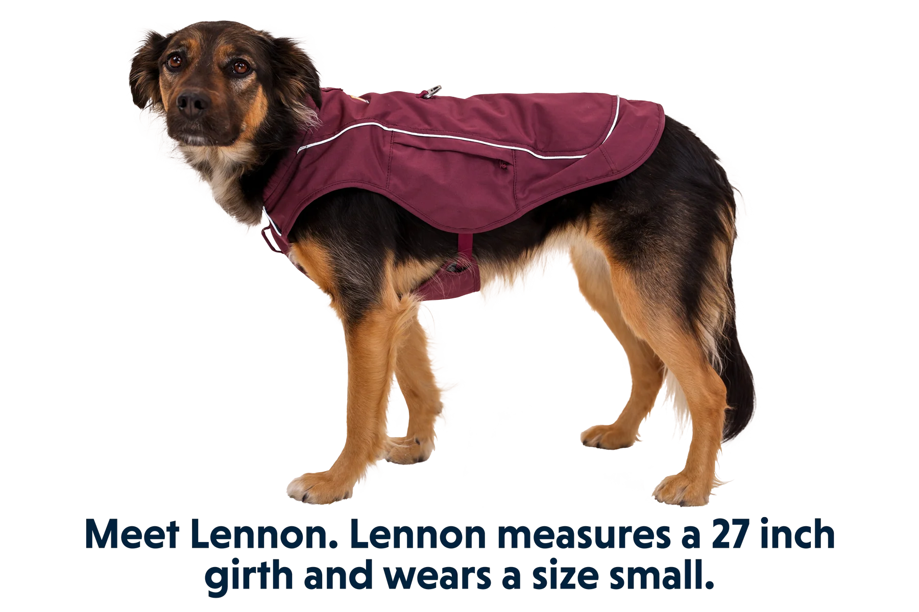 Overcoat Fuse™ Vest - Image 28