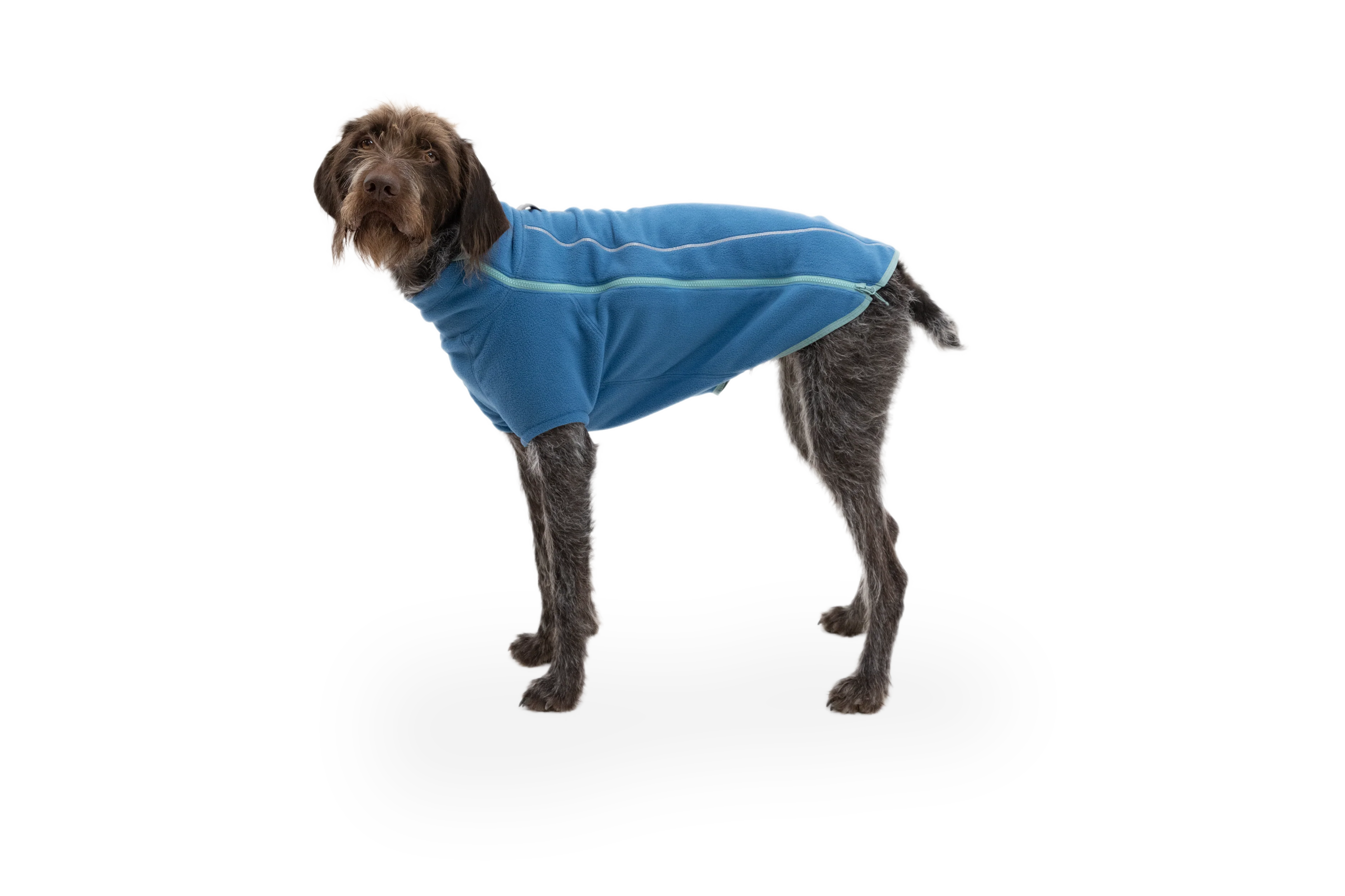 Climate Changer™ Dog Fleece - Image 20