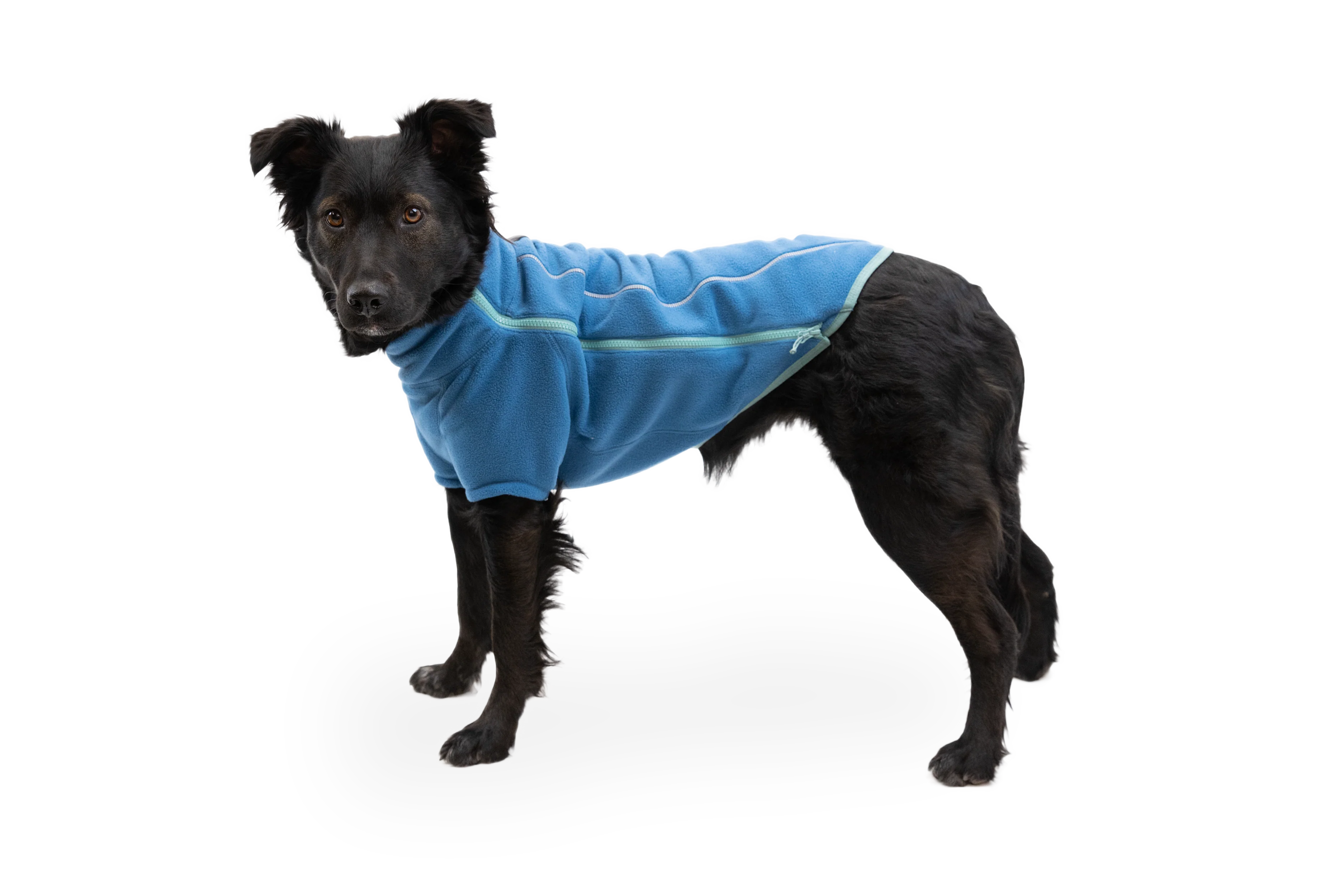 Climate Changer™ Dog Fleece - Image 26