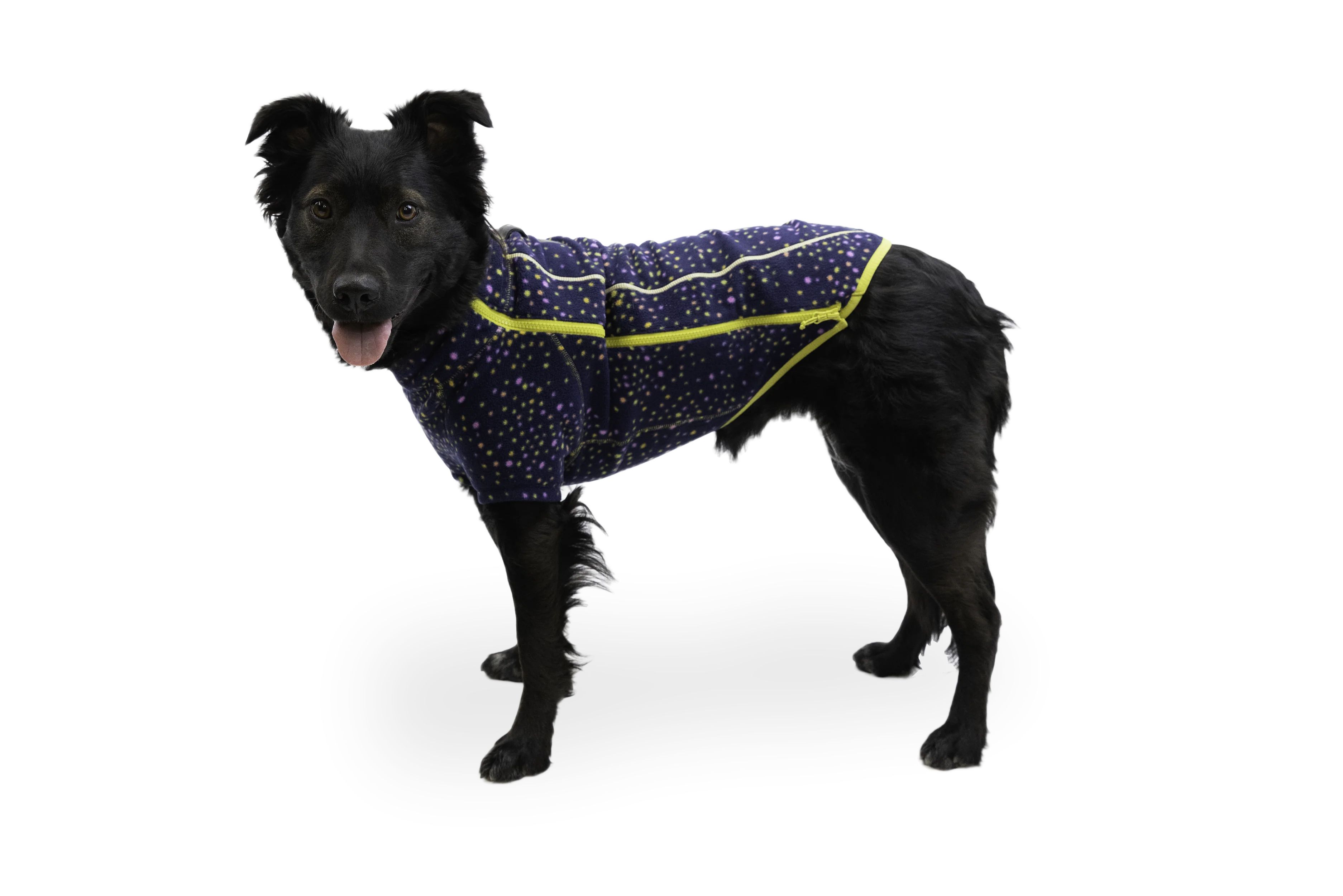 Climate Changer™ Dog Fleece - Image 34