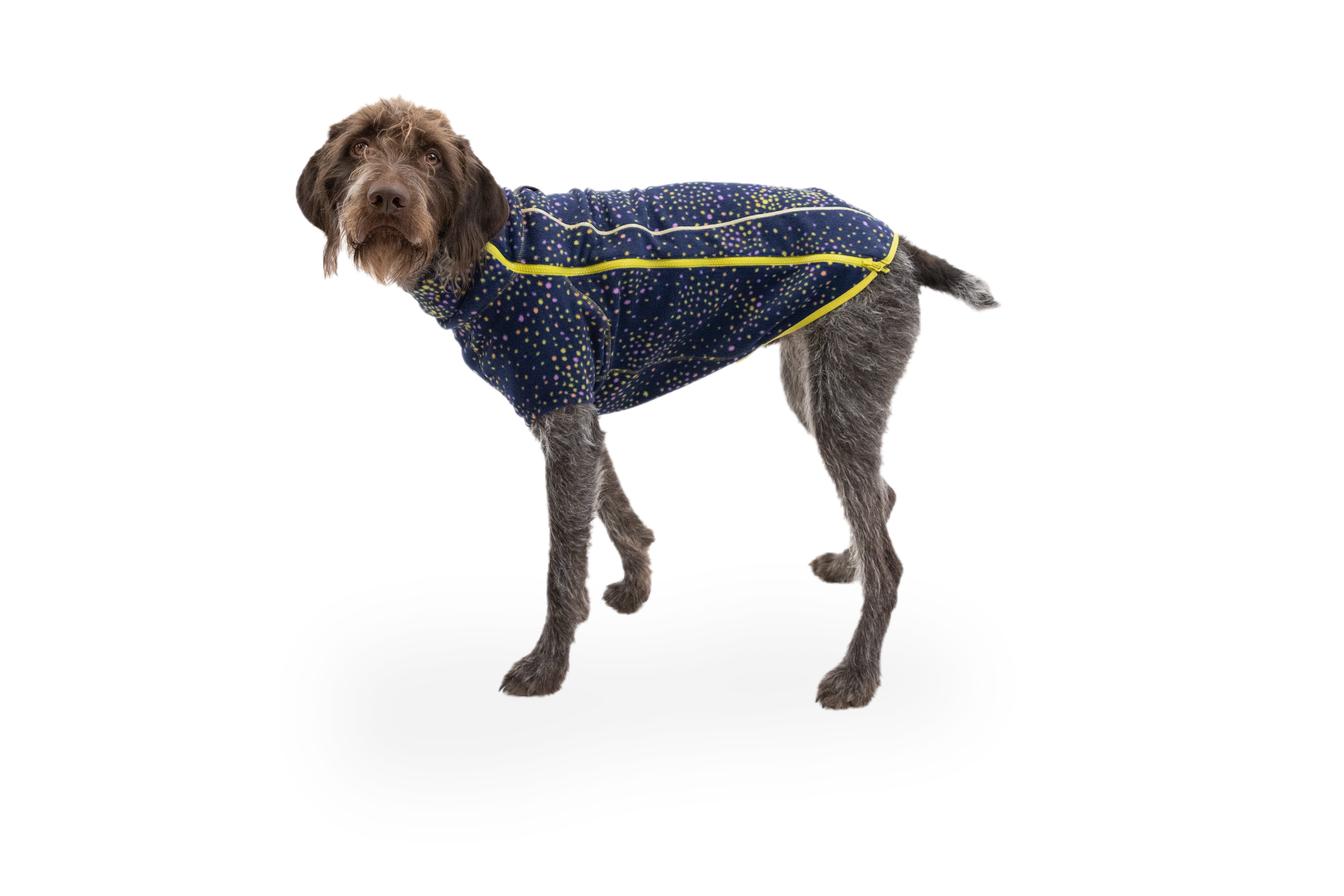 Climate Changer™ Dog Fleece - Image 35
