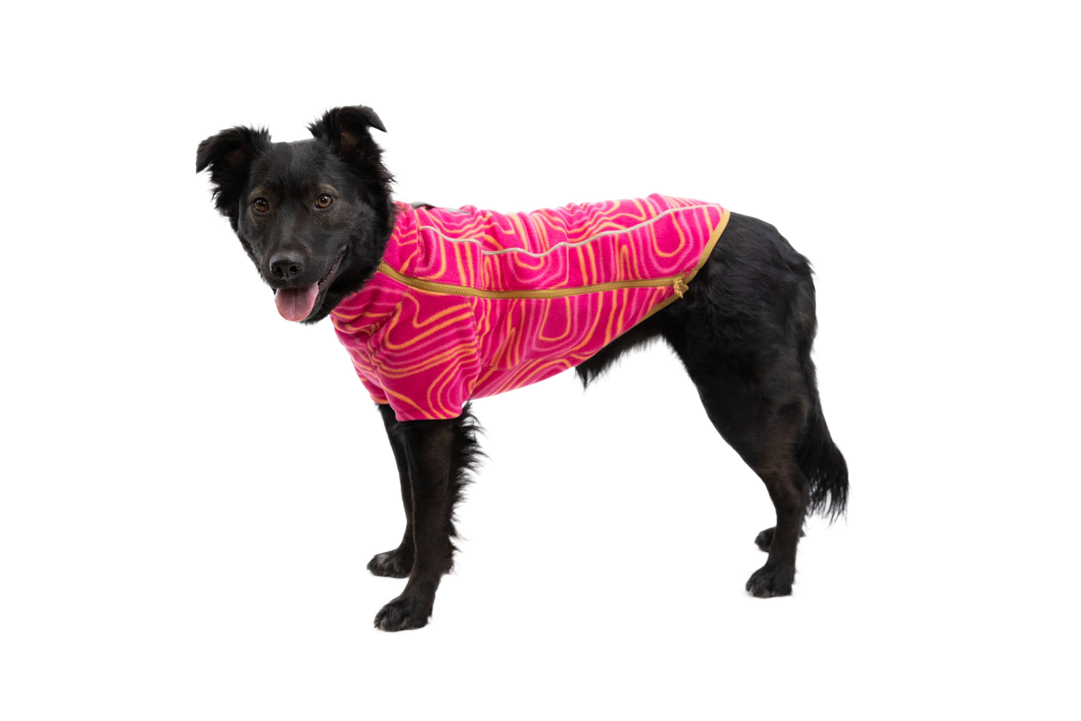 Climate Changer™ Dog Fleece - Image 36