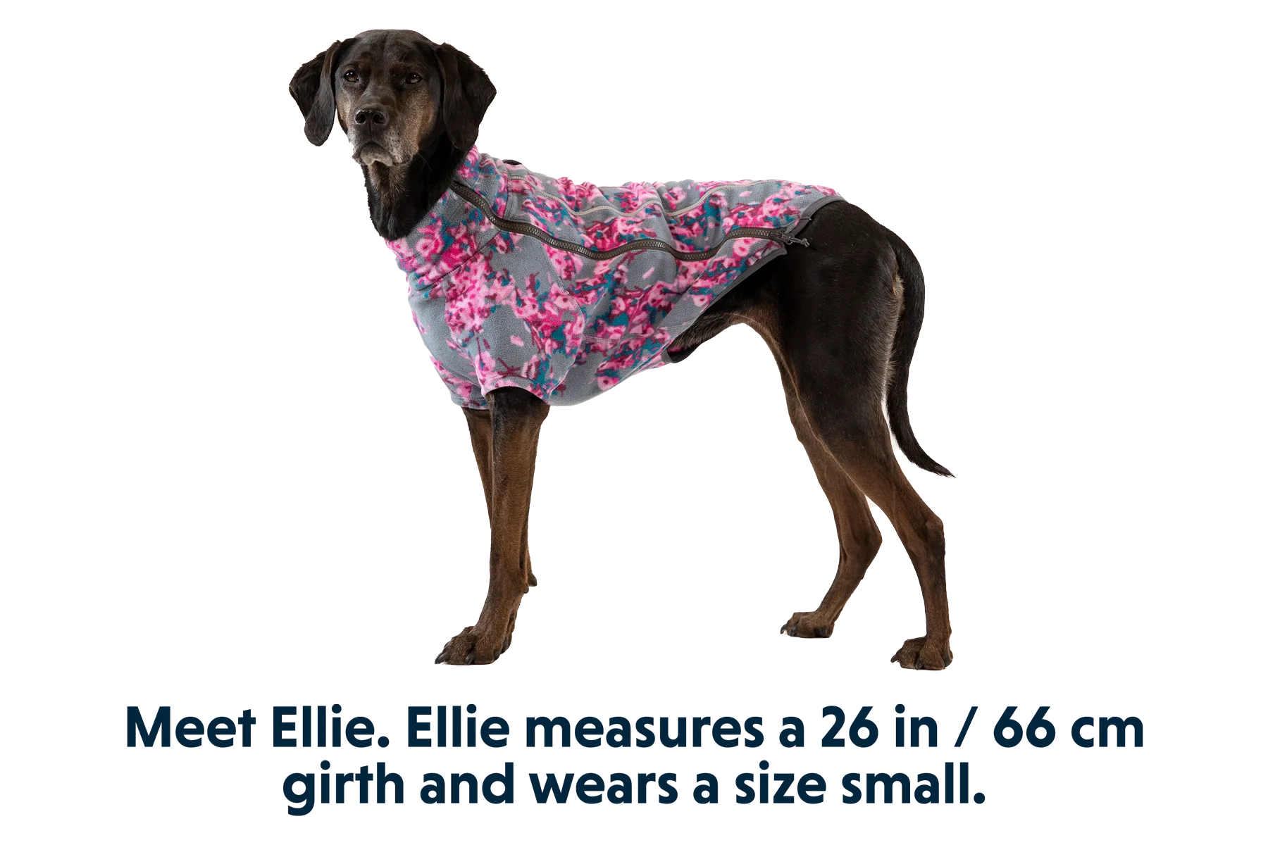 Climate Changer™ Dog Fleece - Image 4