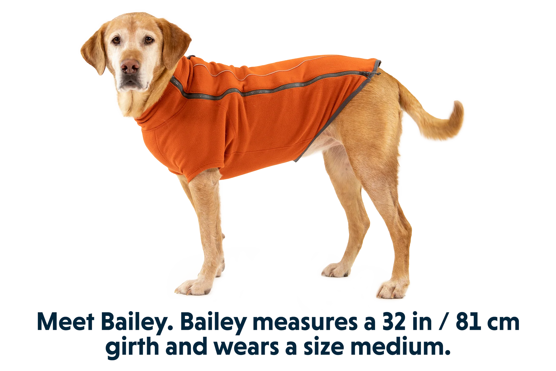 Climate Changer™ Dog Fleece - Image 8