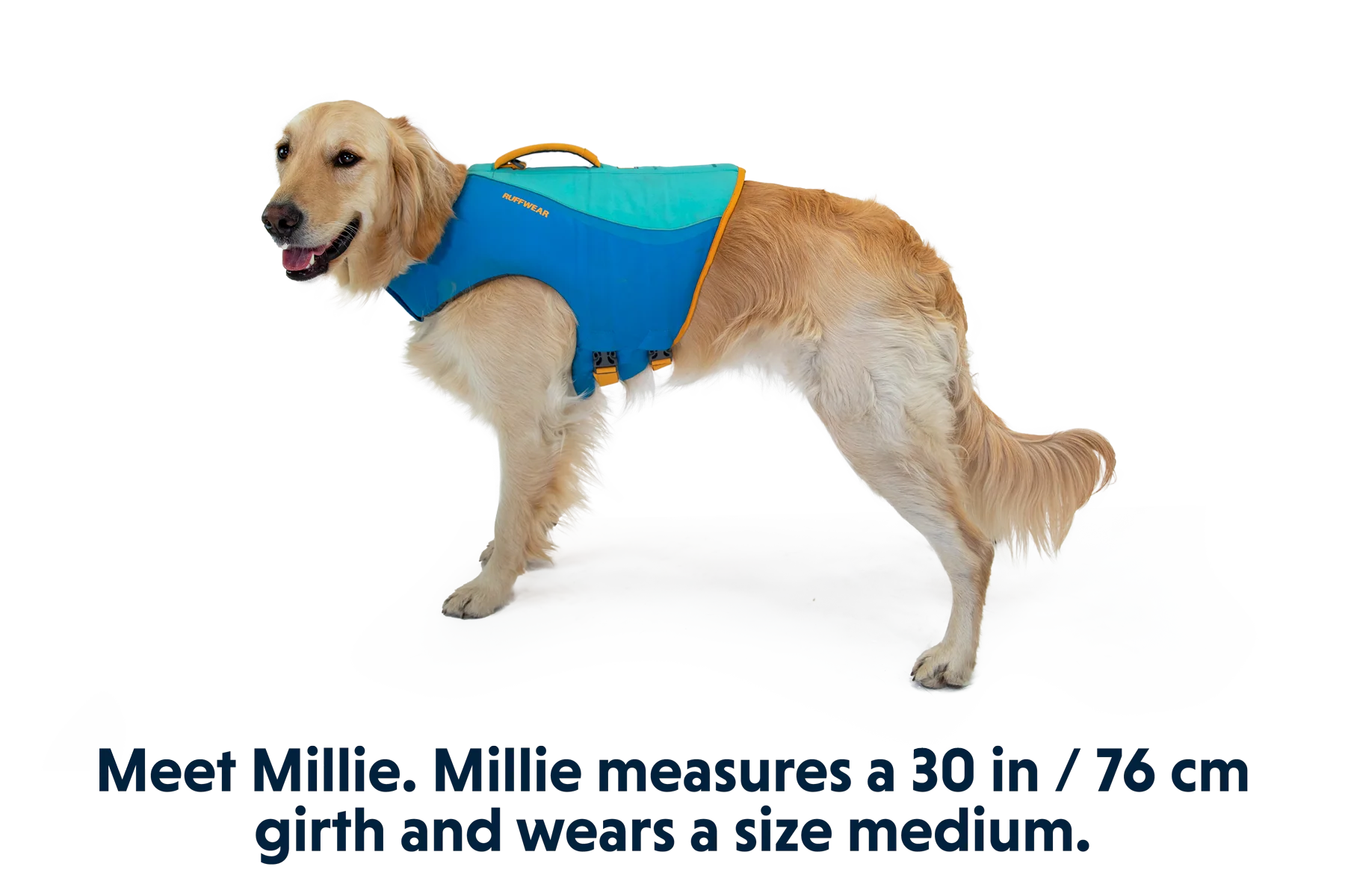 Float Coat™ Dog Life Jacket - Image 13