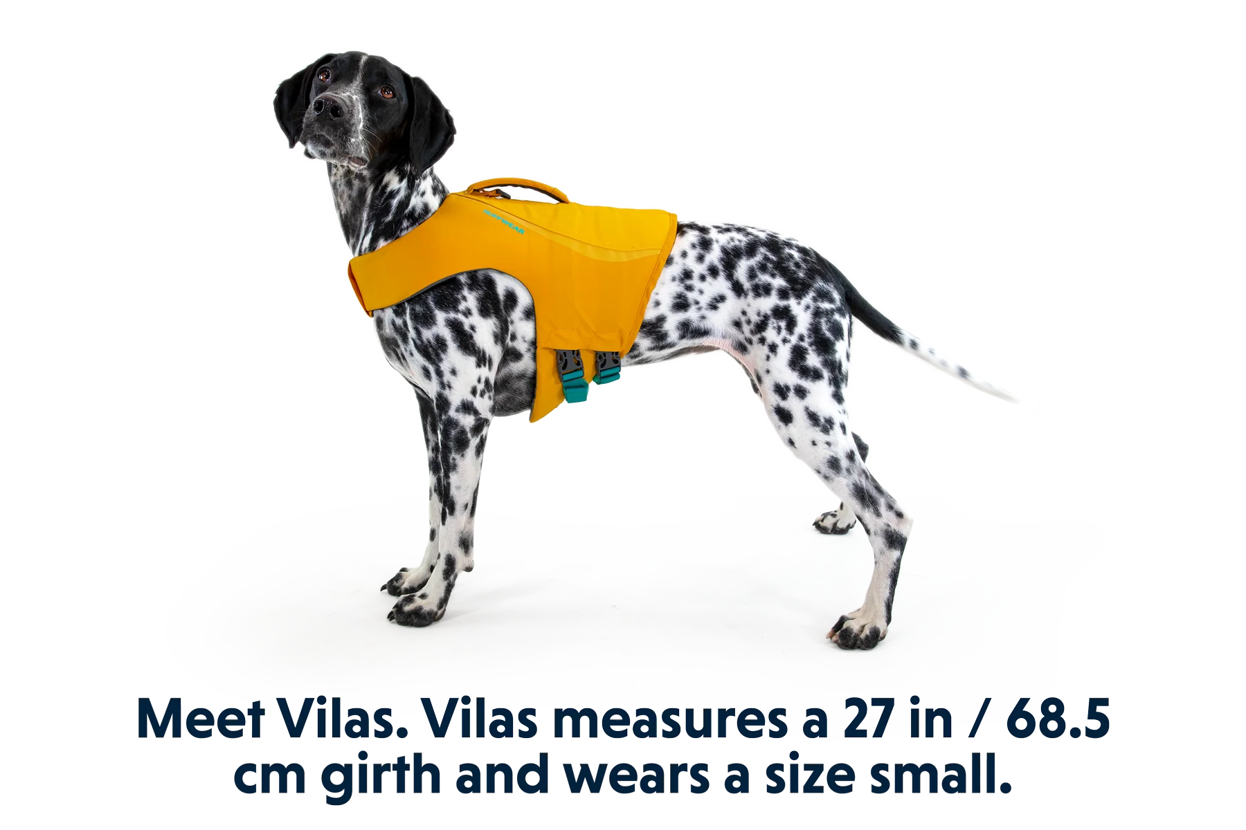 Float Coat™ Dog Life Jacket - Image 32