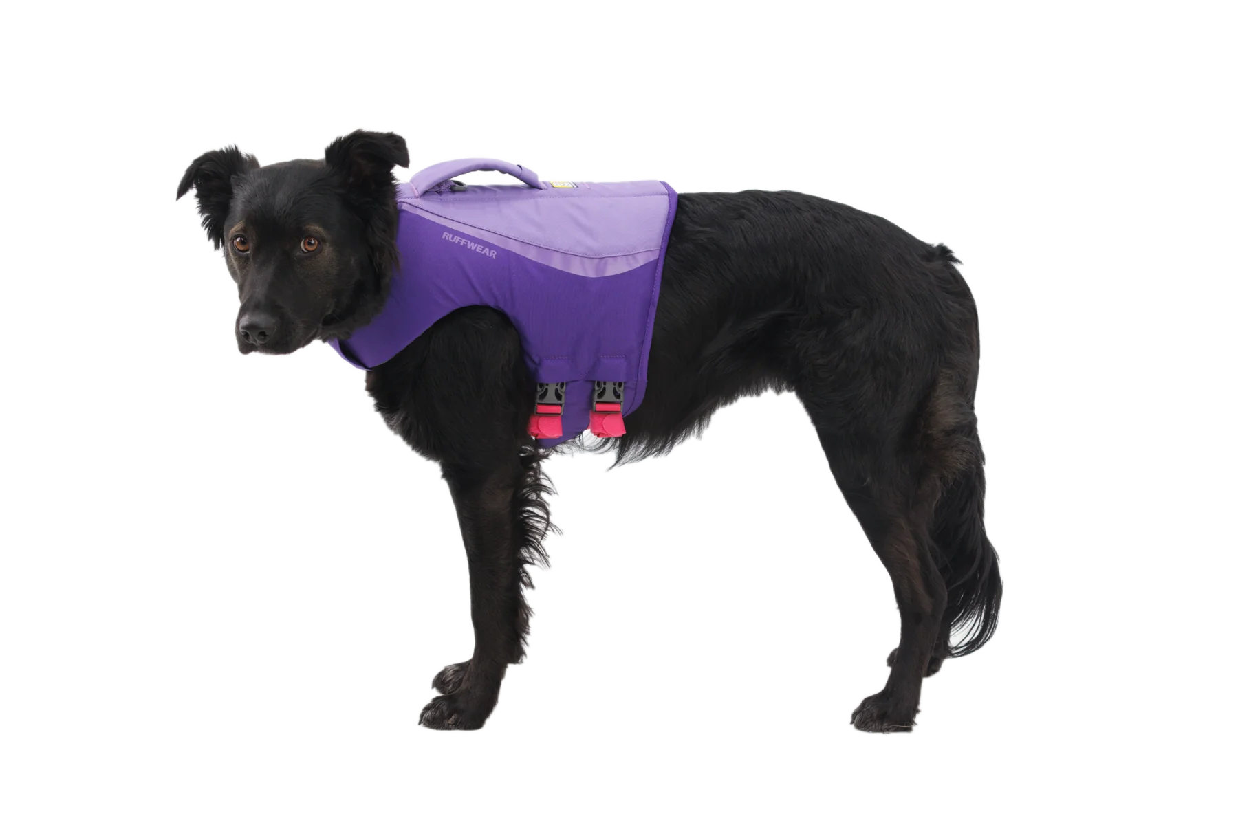 Float Coat™ Dog Life Jacket - Image 7