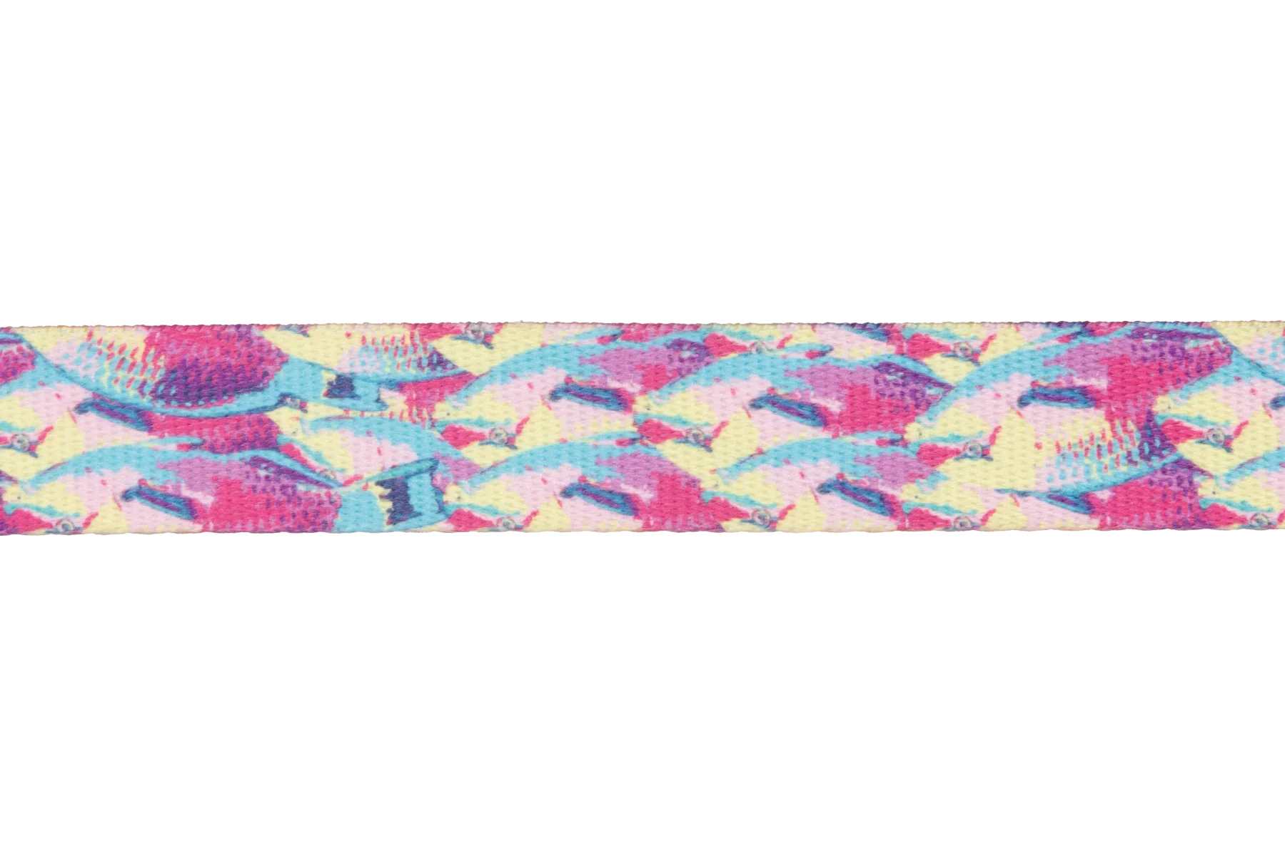 Front Range™ Dog Collar - Image 31