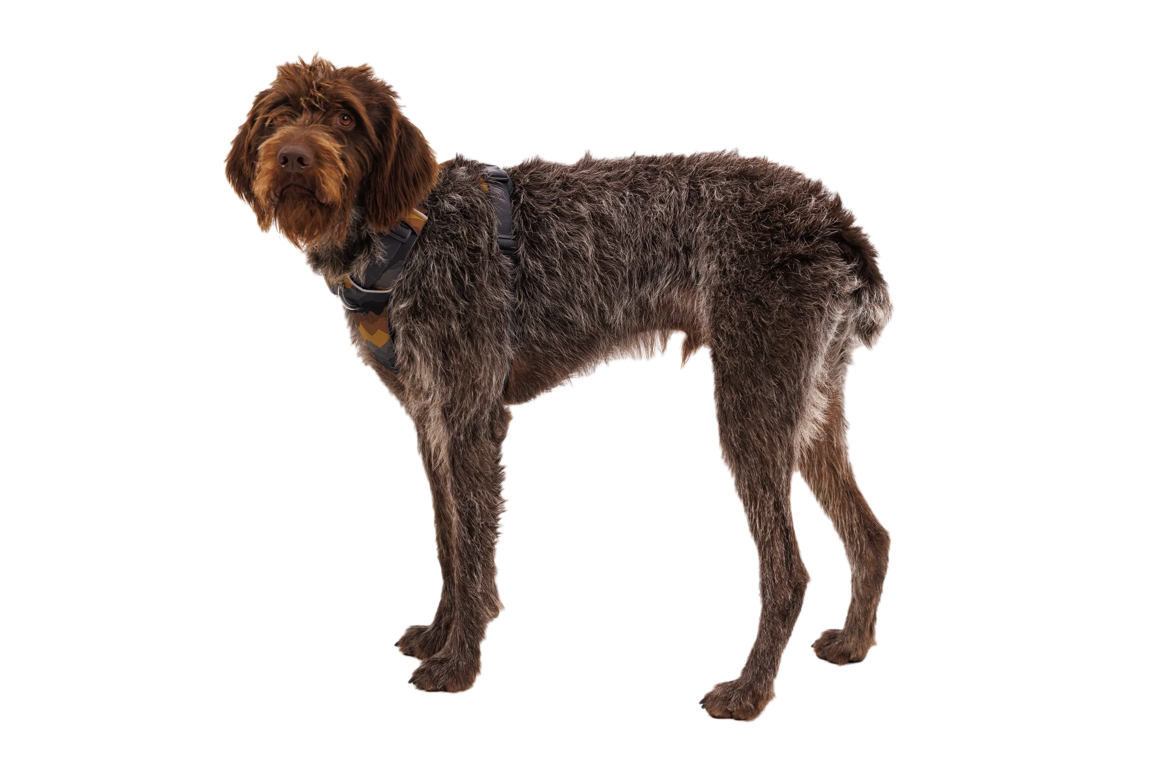 Front Range® Dog Harness - Image 30