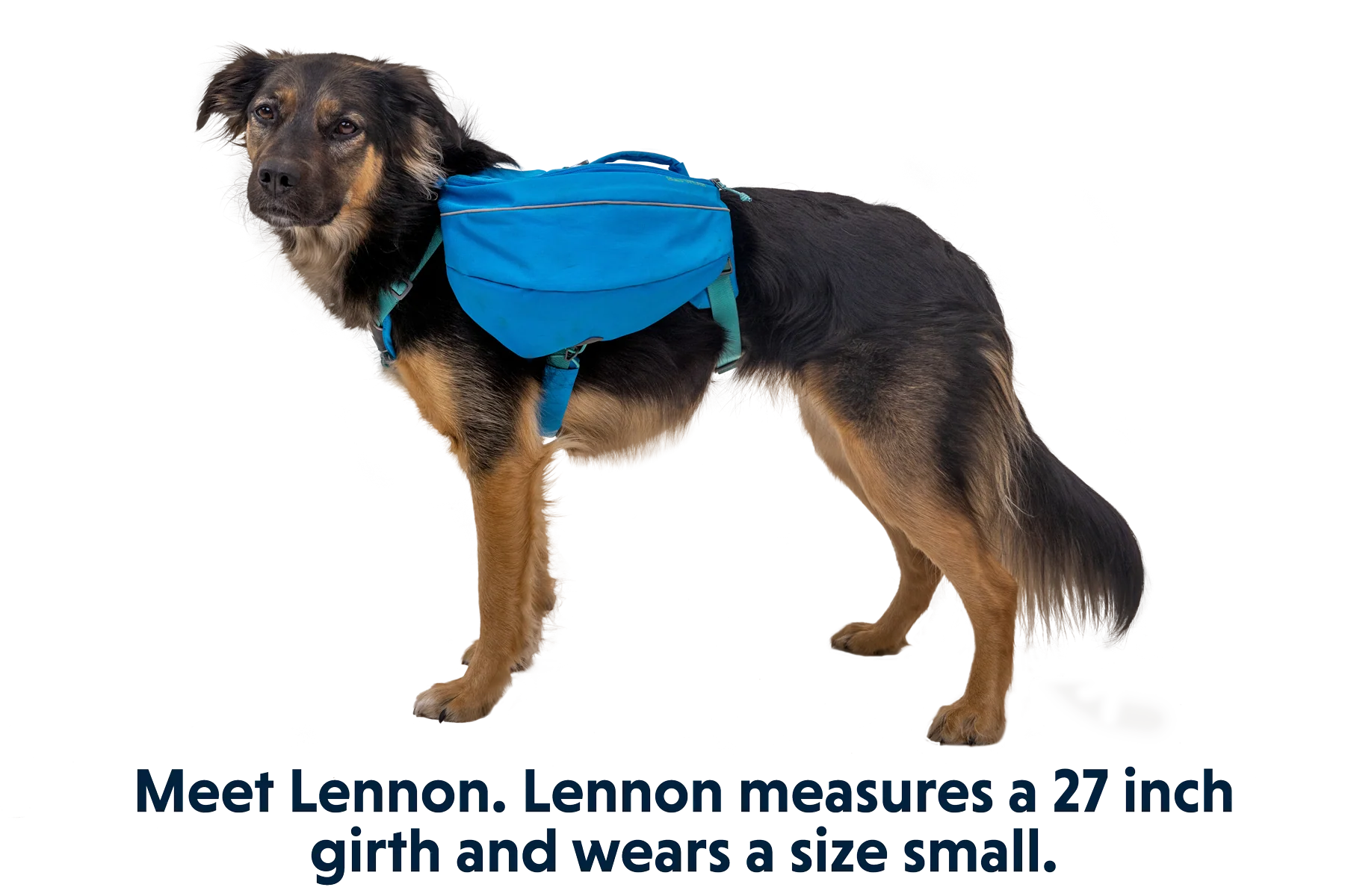 Approach™ Dog Backpack - Image 12