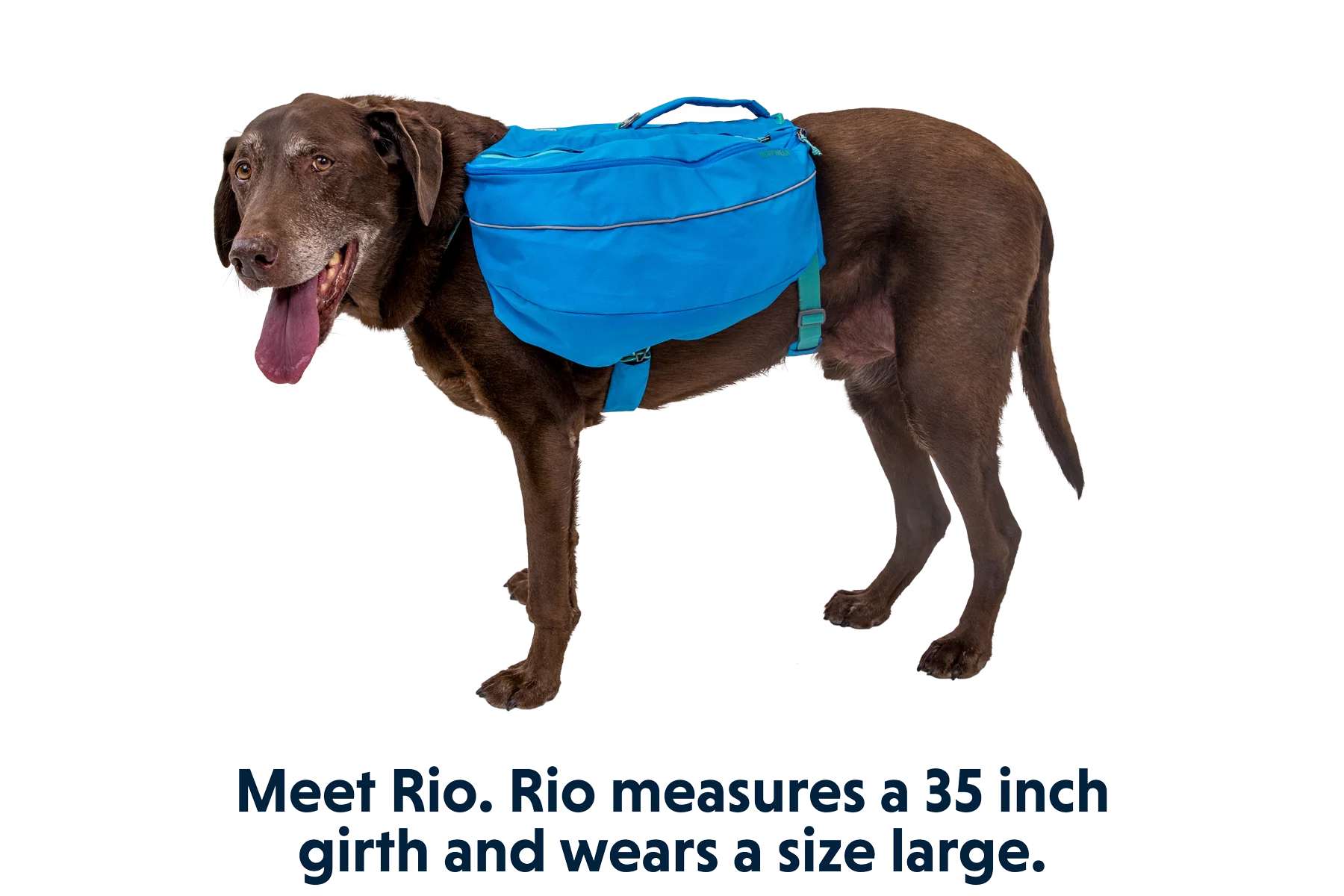 Approach™ Dog Backpack - Image 13