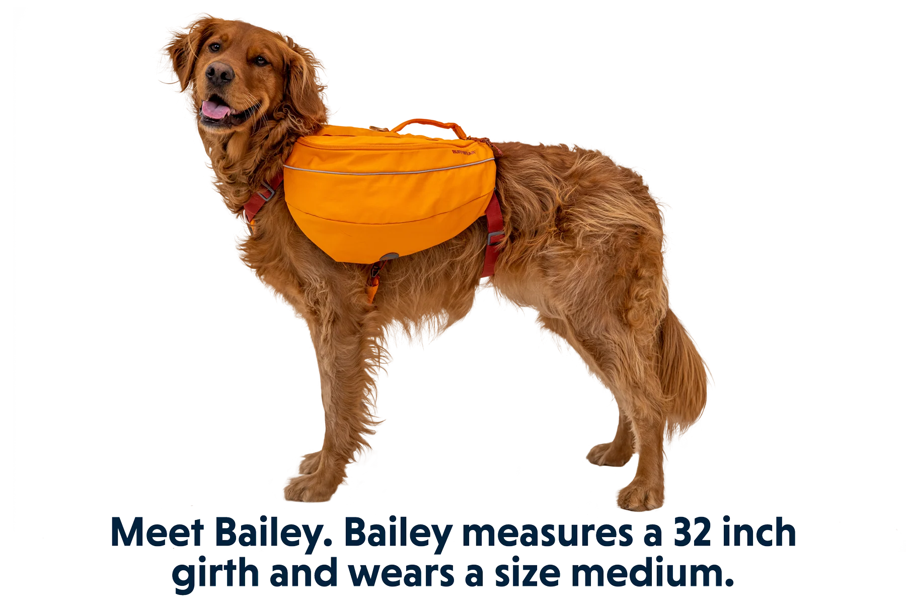 Approach™ Dog Backpack - Image 23