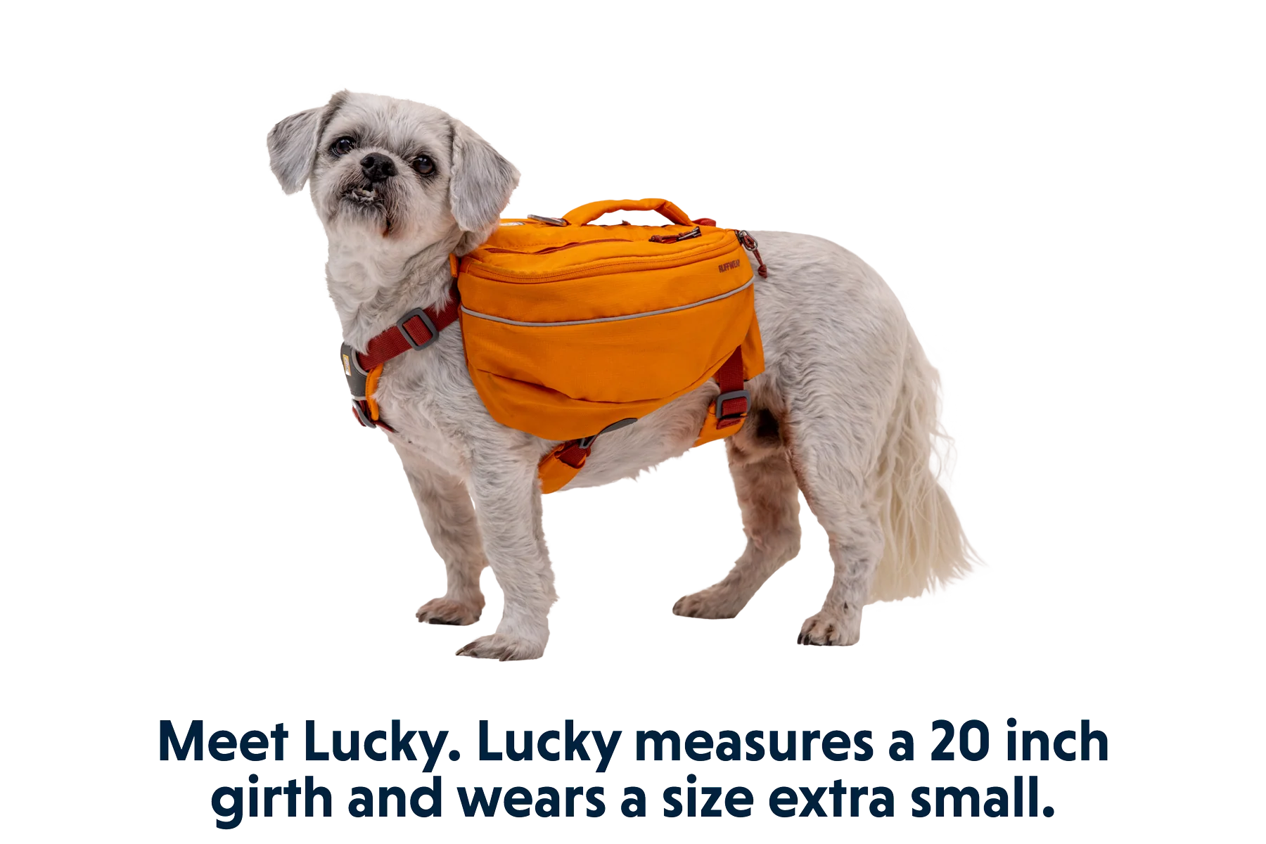 Approach™ Dog Backpack - Image 24