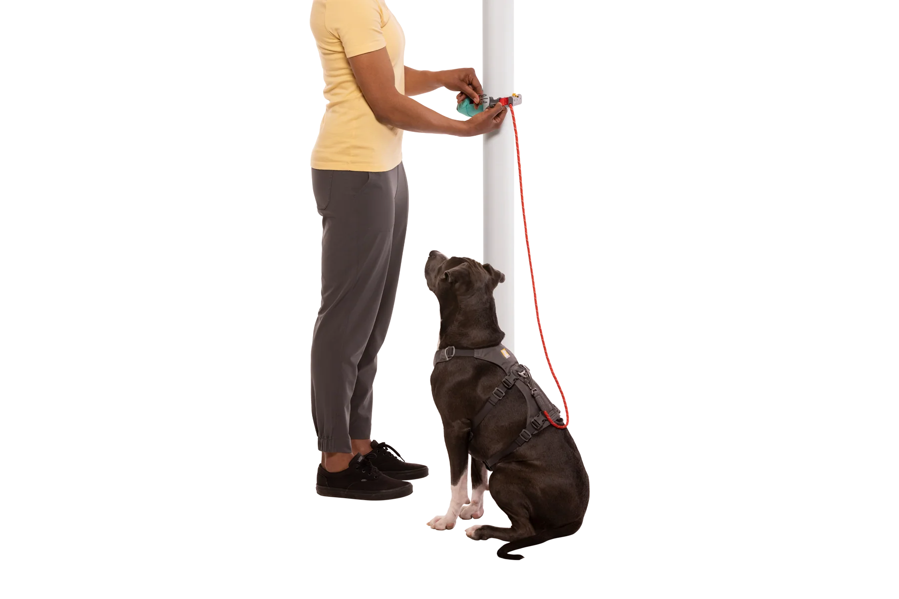Hitch Hiker™ Leash - Image 11