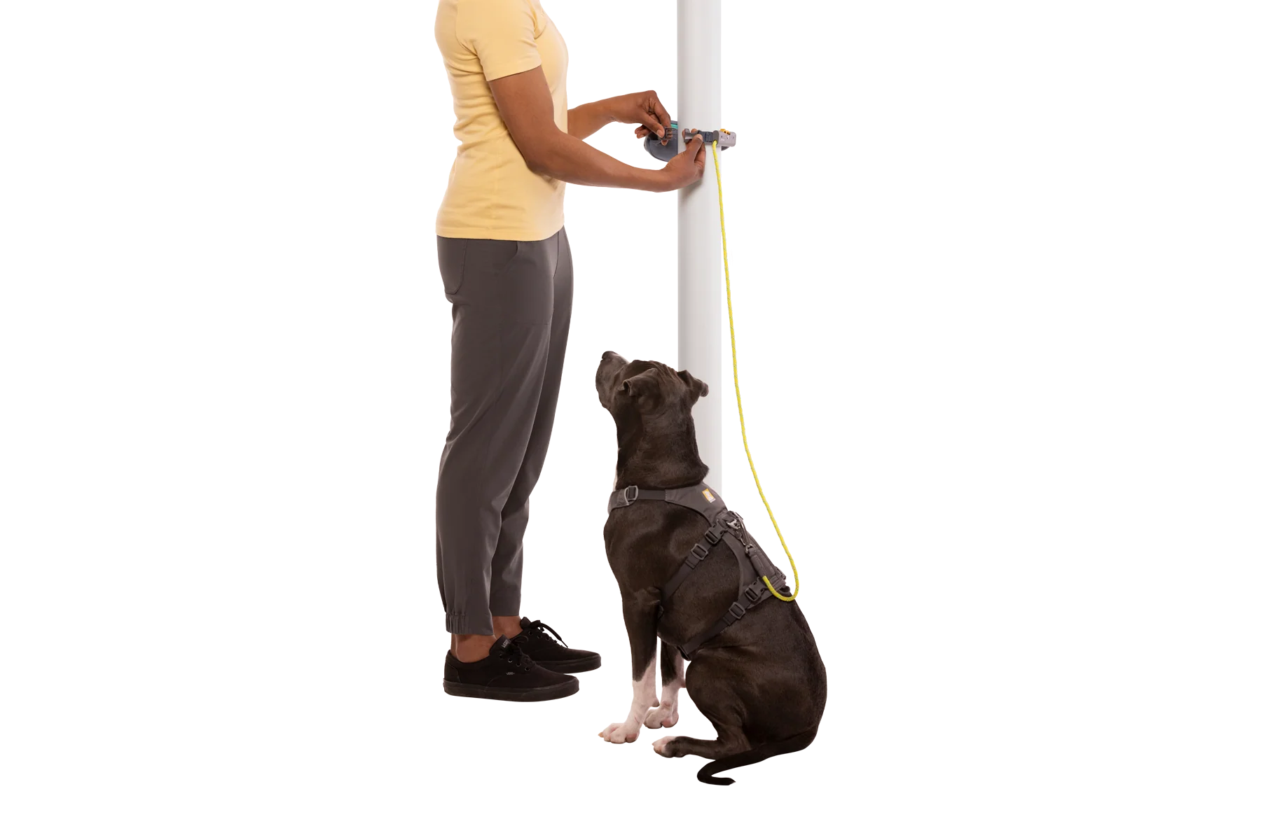 Hitch Hiker™ Leash - Image 23