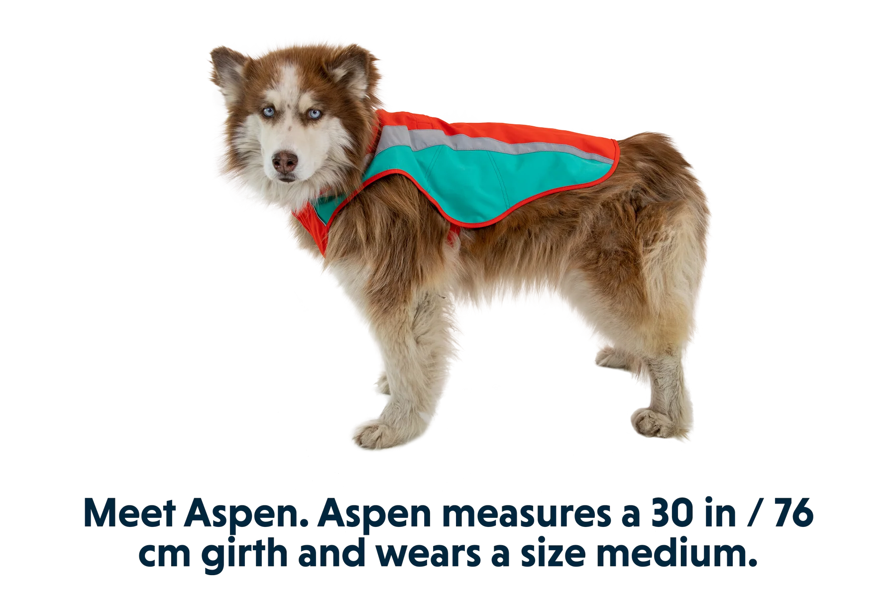 Lumenglow™ High-Vis Vest - Image 21