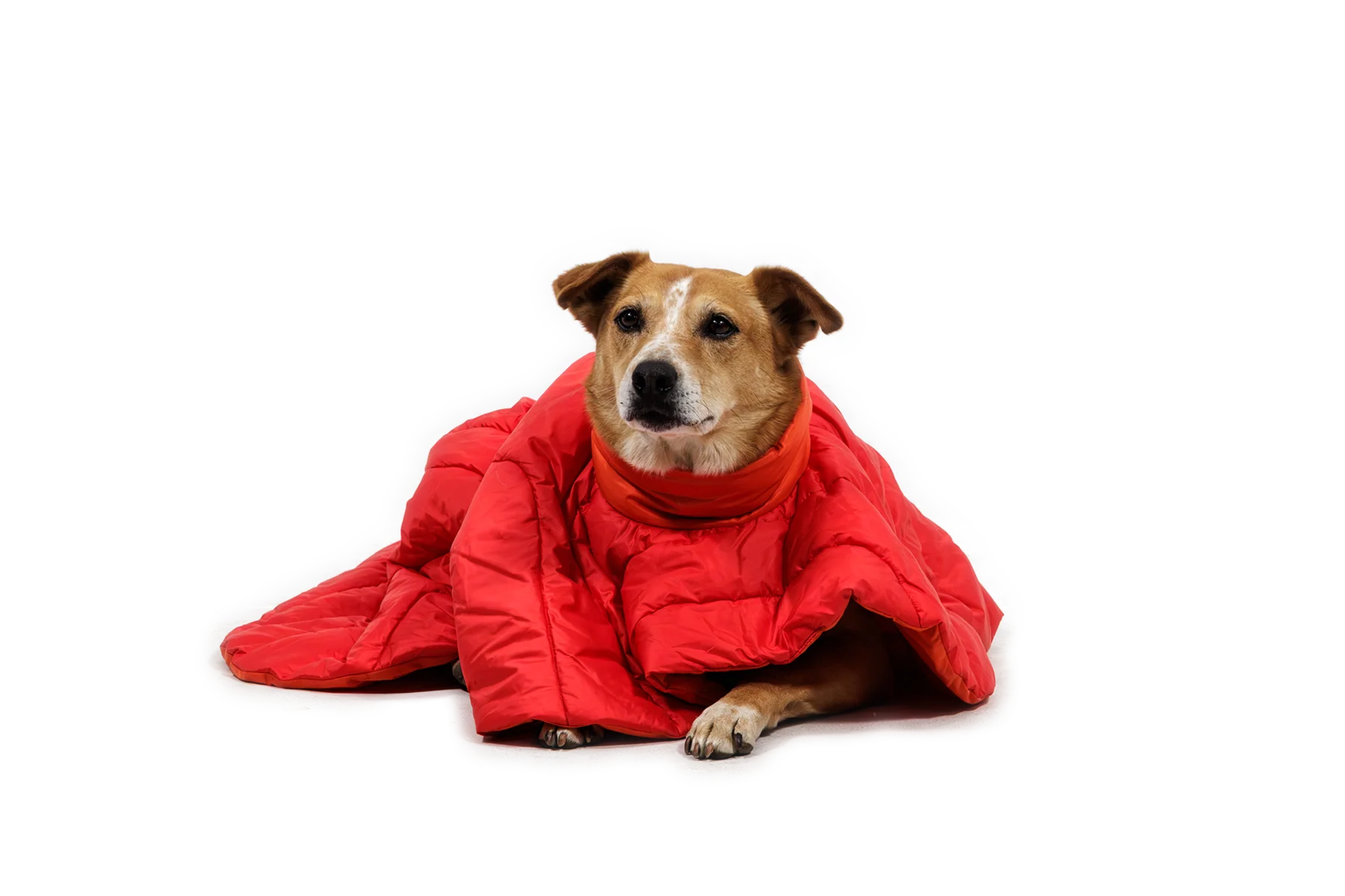 Palisades™ Sleep Poncho - Image 6