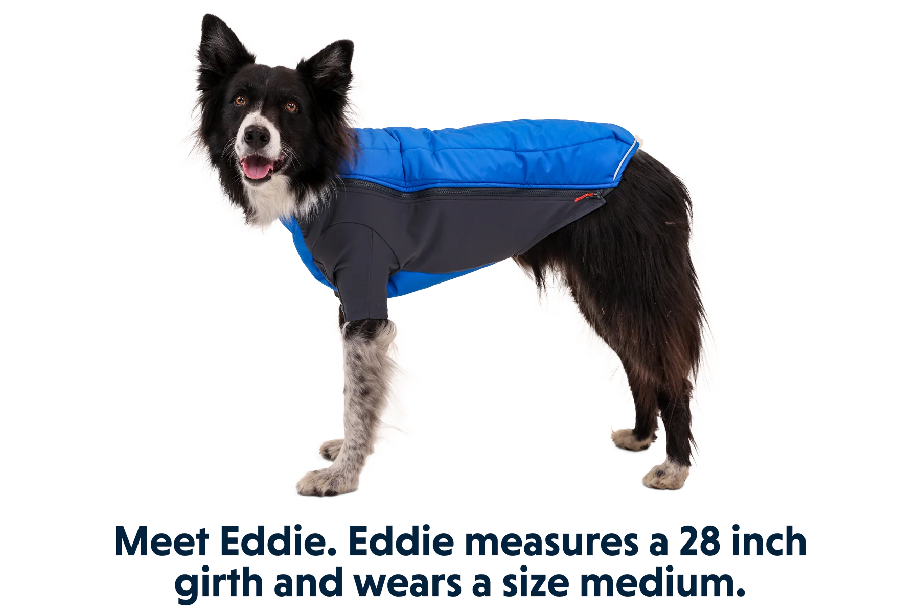 Powder Hound™ Dog Jacket - Image 14