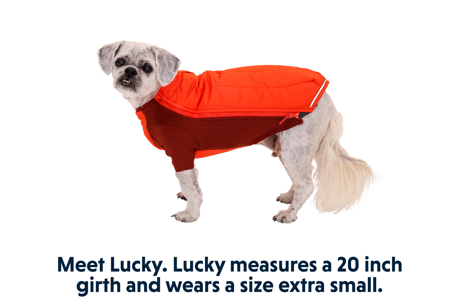 Powder Hound™ Dog Jacket - Image 21