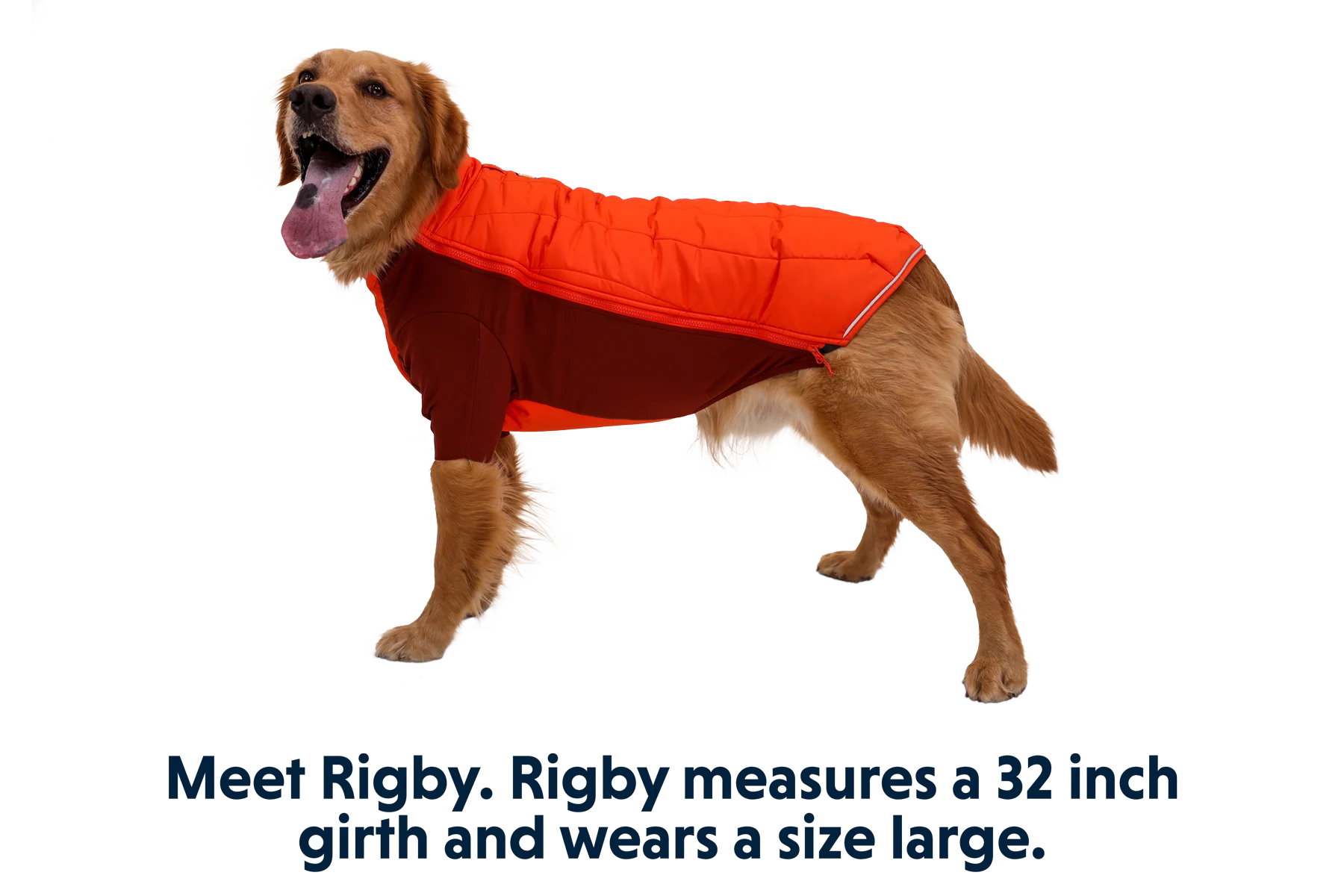 Powder Hound™ Dog Jacket - Image 22