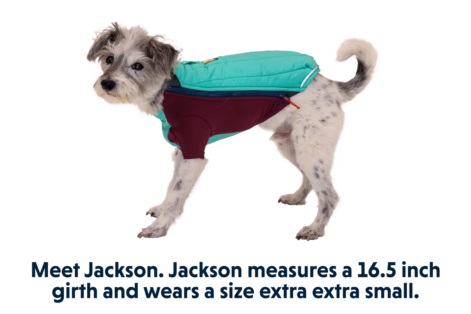 Powder Hound™ Dog Jacket - Image 8