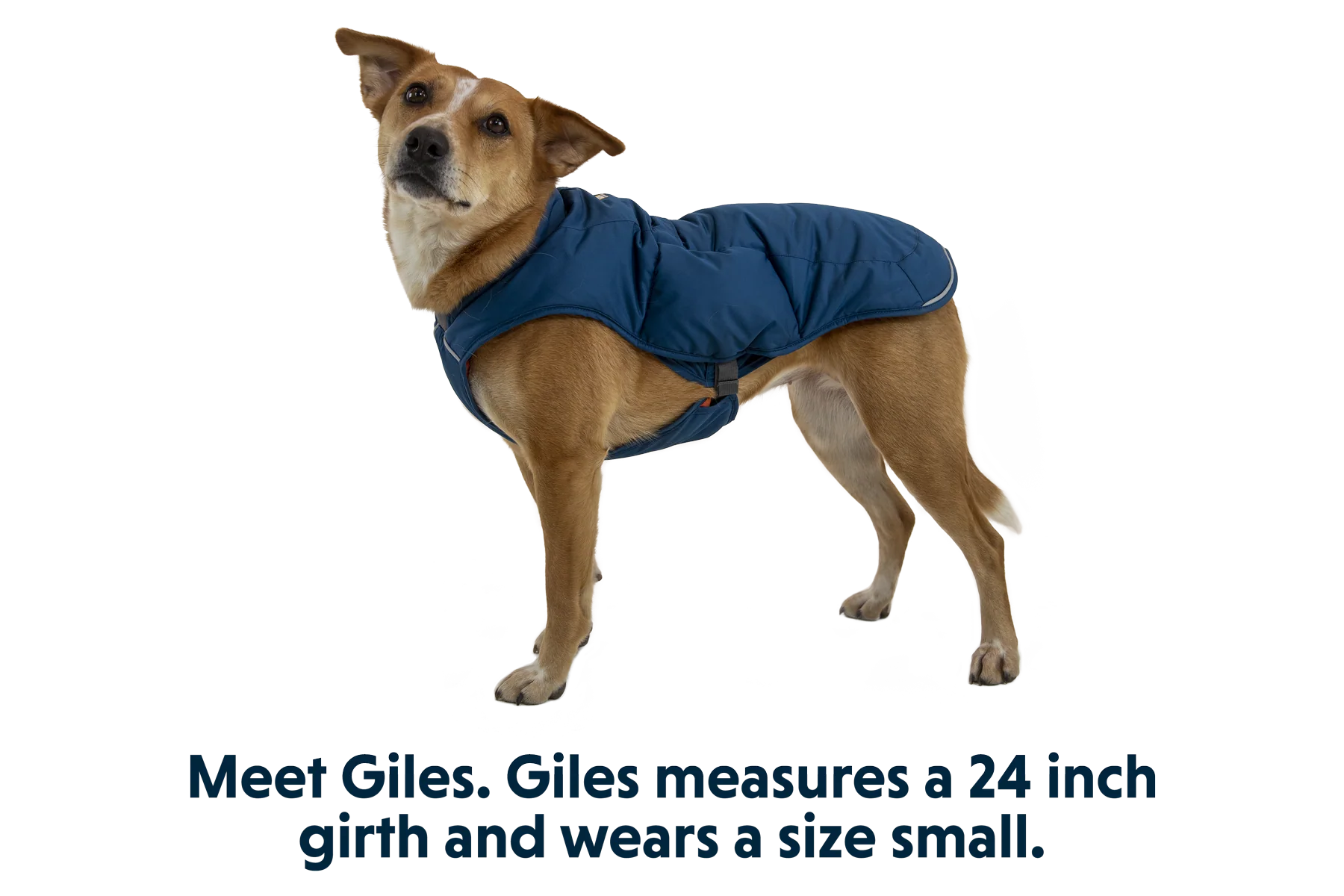 Quinzee™ Insulated Vest - Image 11