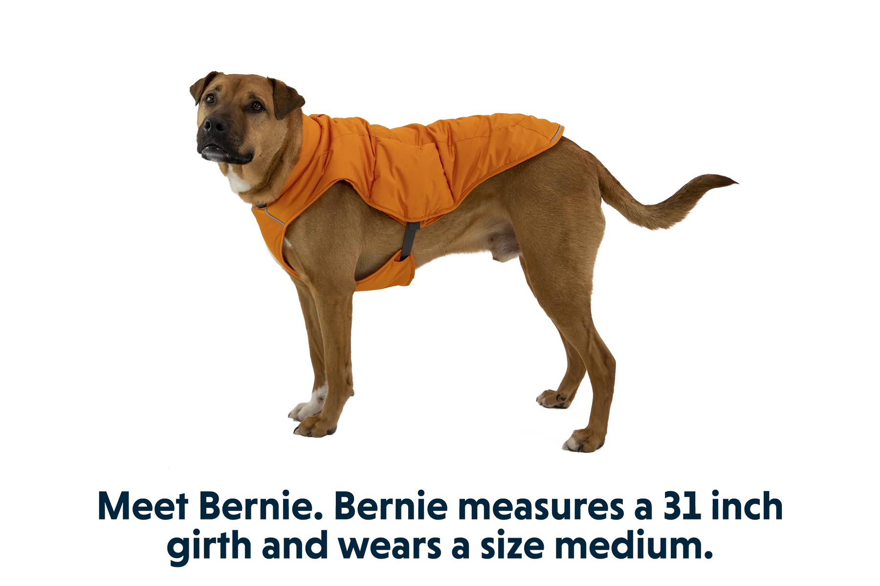 Quinzee™ Insulated Vest - Image 20