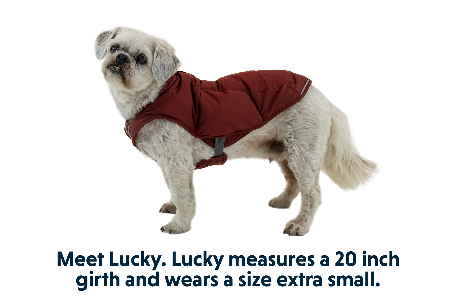 Quinzee™ Insulated Vest - Image 31