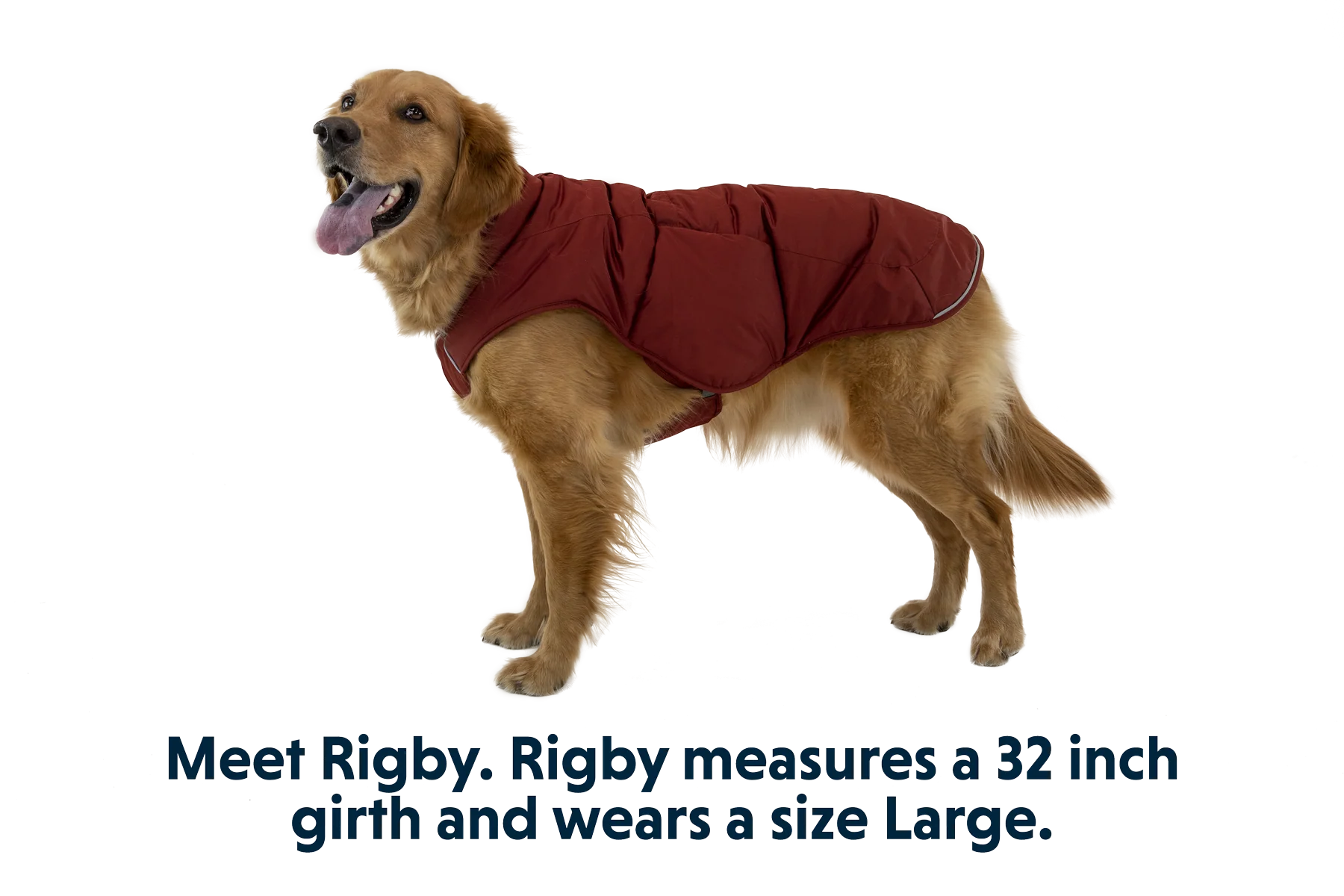 Quinzee™ Insulated Vest - Image 32