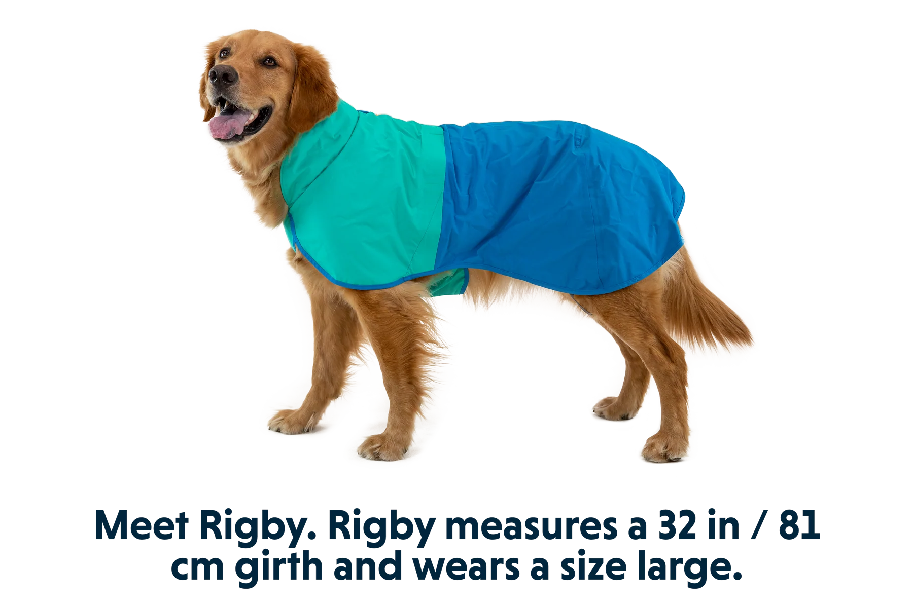 Sun Shower™ Dog Raincoat - Image 13