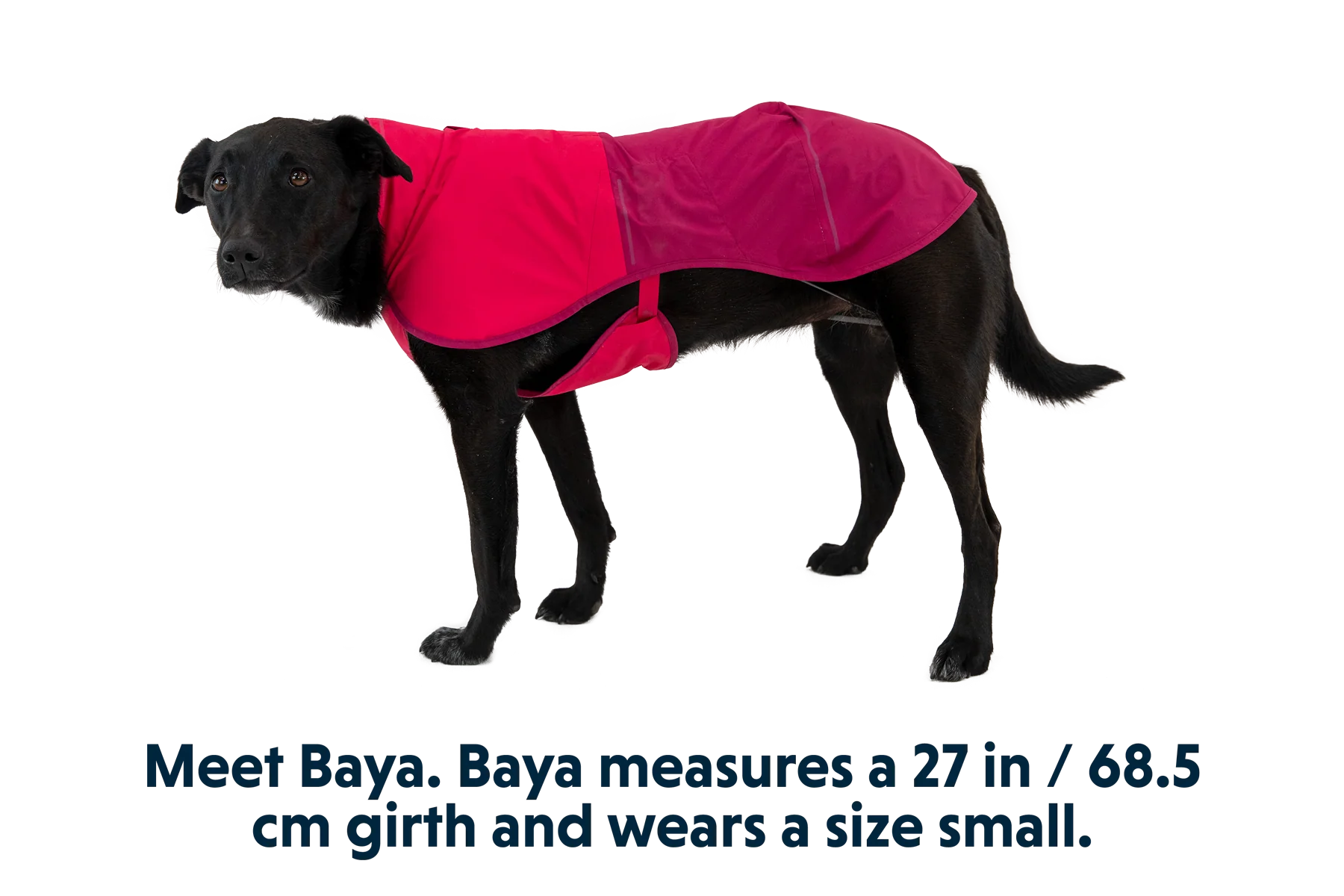 Sun Shower™ Dog Raincoat - Image 24