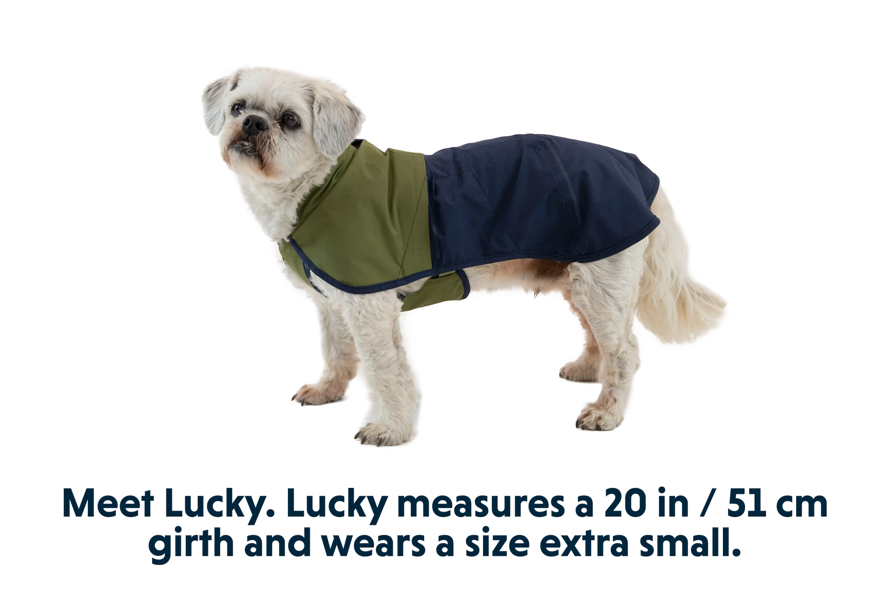 Sun Shower™ Dog Raincoat - Image 35