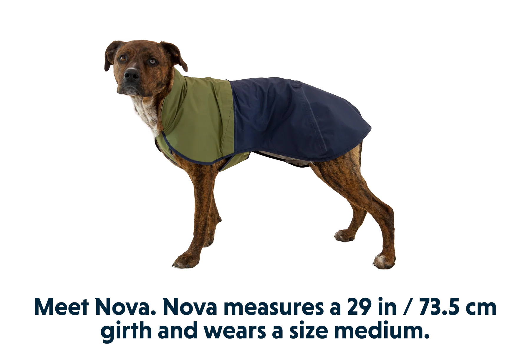 Sun Shower™ Dog Raincoat - Image 36