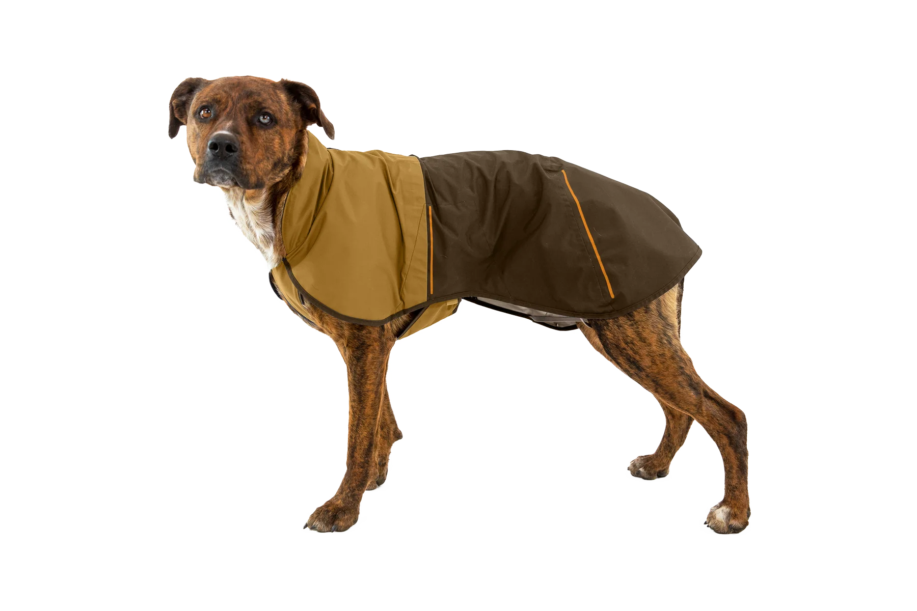 Sun Shower™ Dog Raincoat - Image 38