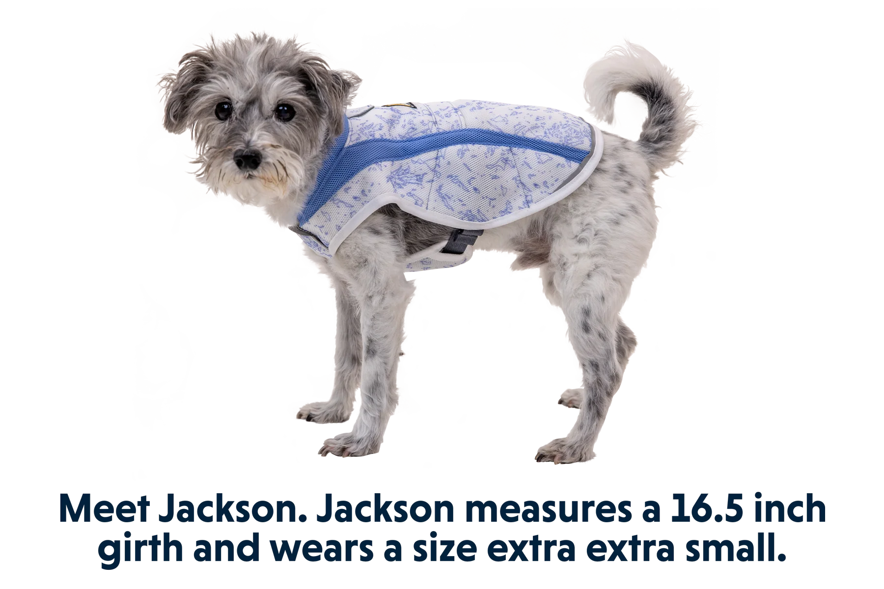 Swamp Cooler™ Cooling Dog Vest - Image 27