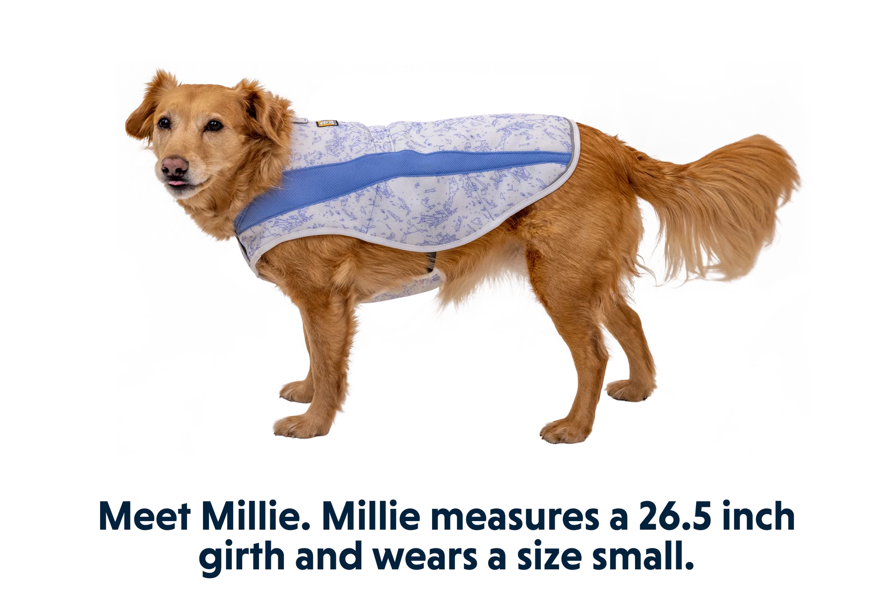 Swamp Cooler™ Cooling Dog Vest - Image 28