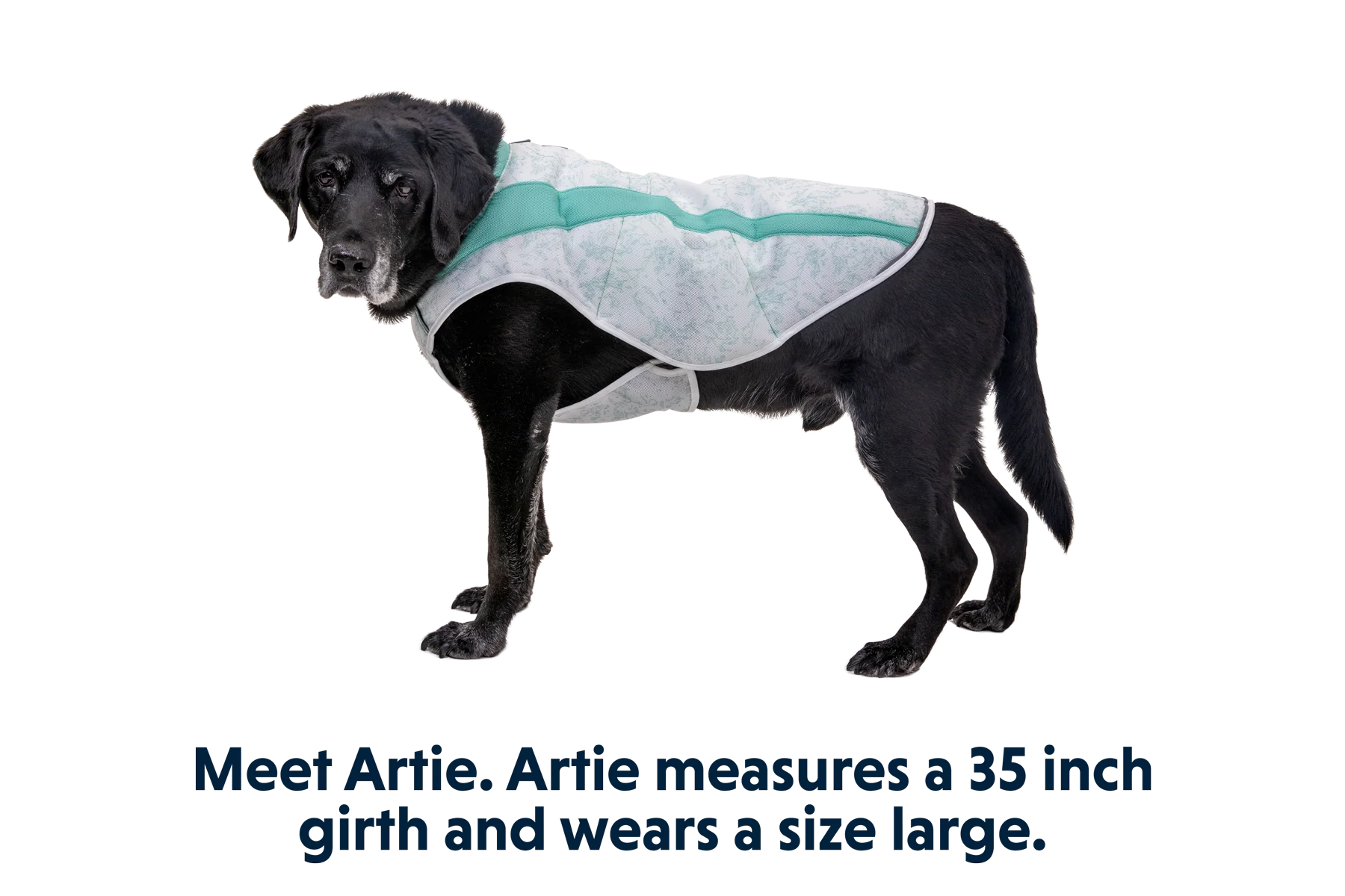Swamp Cooler™ Cooling Dog Vest - Image 40