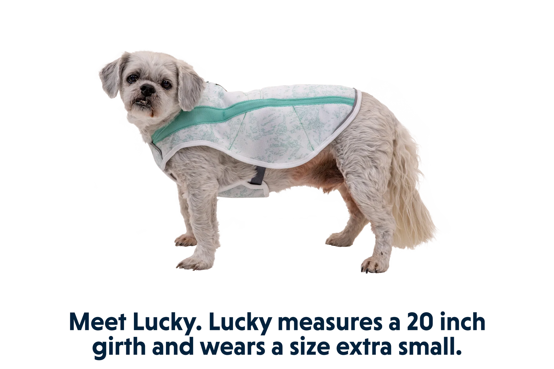 Swamp Cooler™ Cooling Dog Vest - Image 41