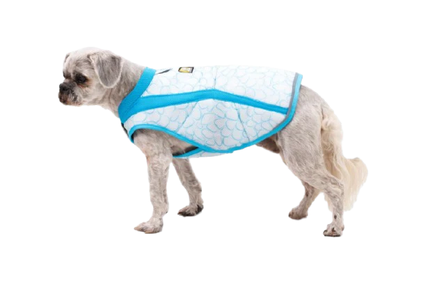Swamp Cooler™ Cooling Dog Vest - Image 42