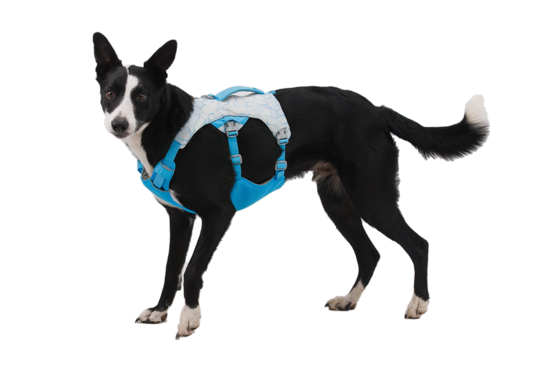 Swamp Cooler™ Harness - Image 3