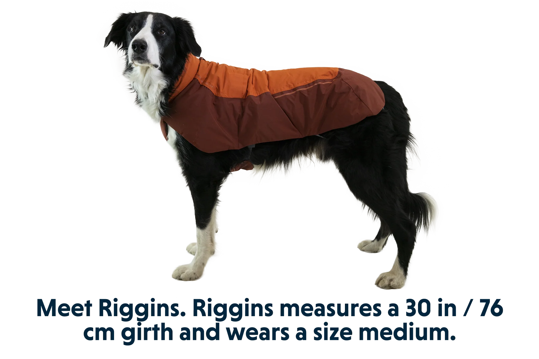 Vert™ Waterproof Insulated Vest - Image 13