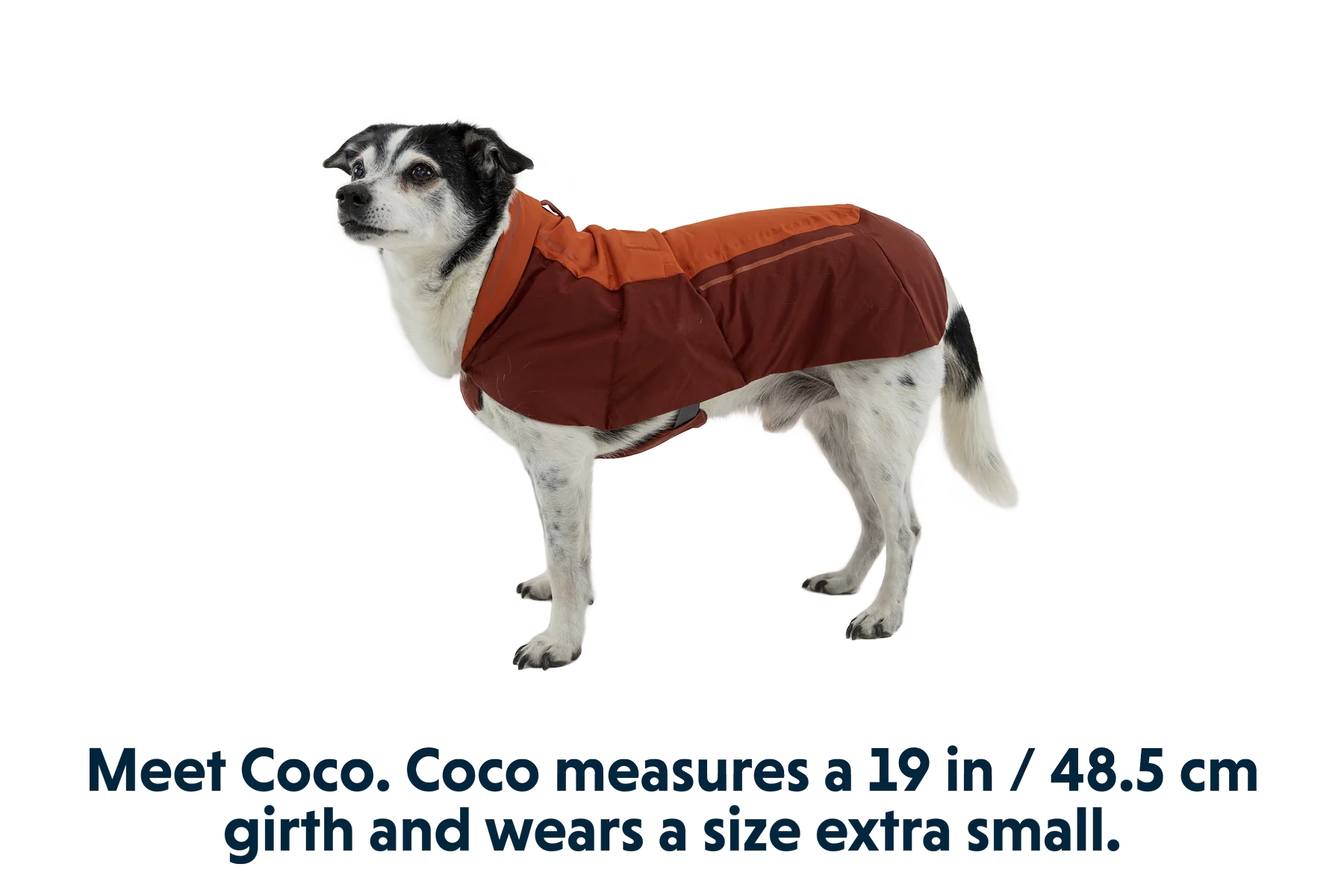 Vert™ Waterproof Insulated Vest - Image 22